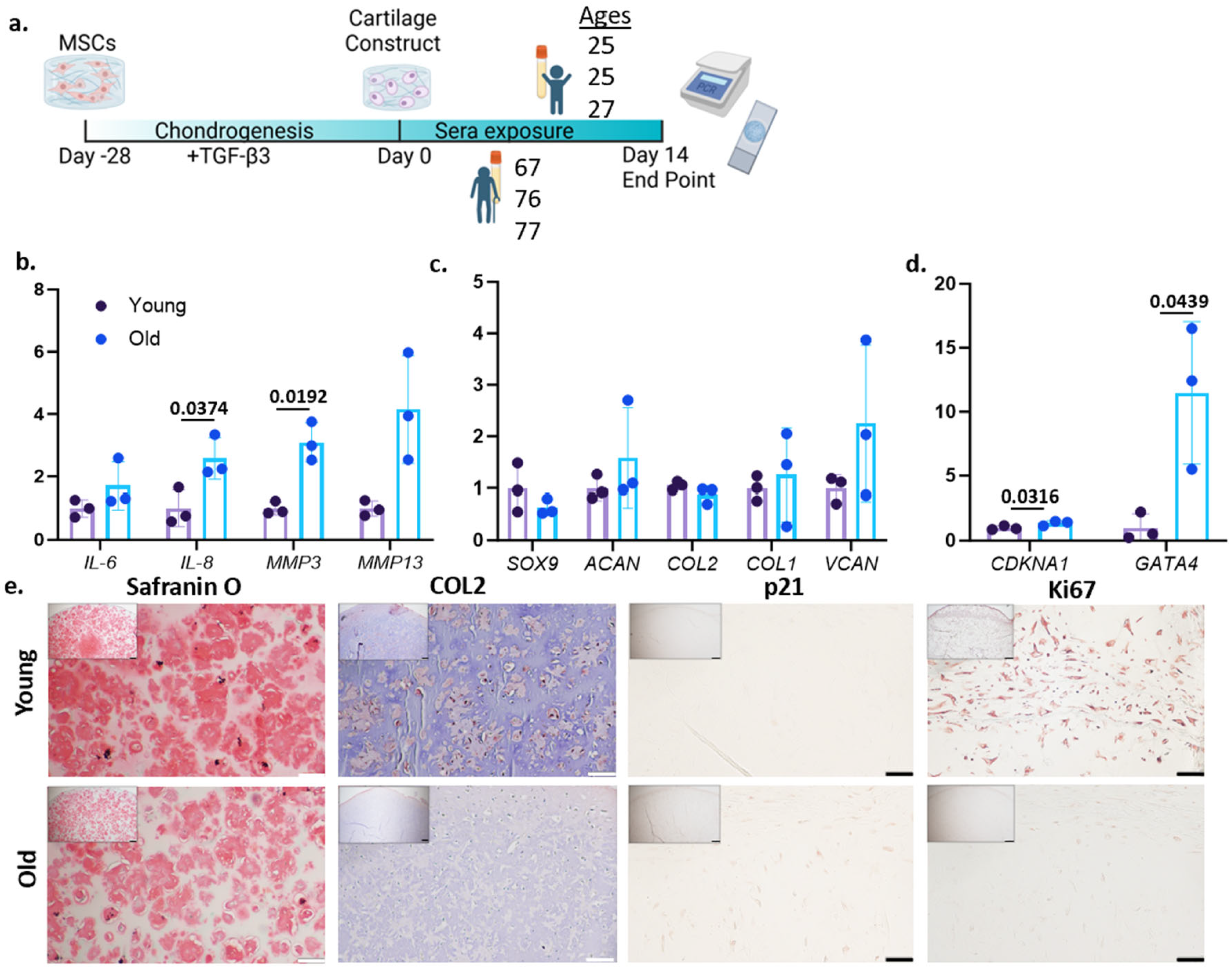 Bioengineering 12 00823 g001