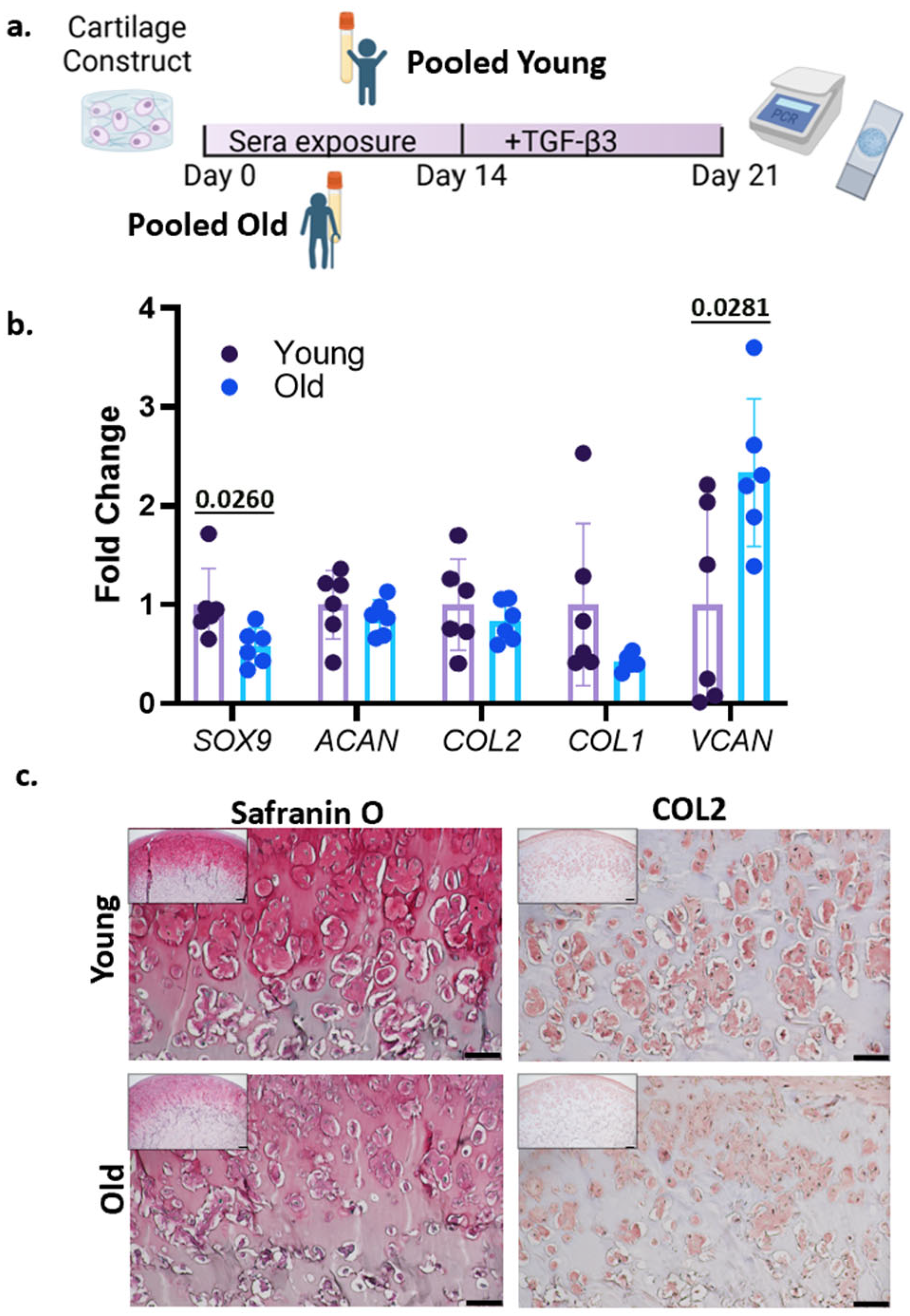 Bioengineering 12 00823 g002