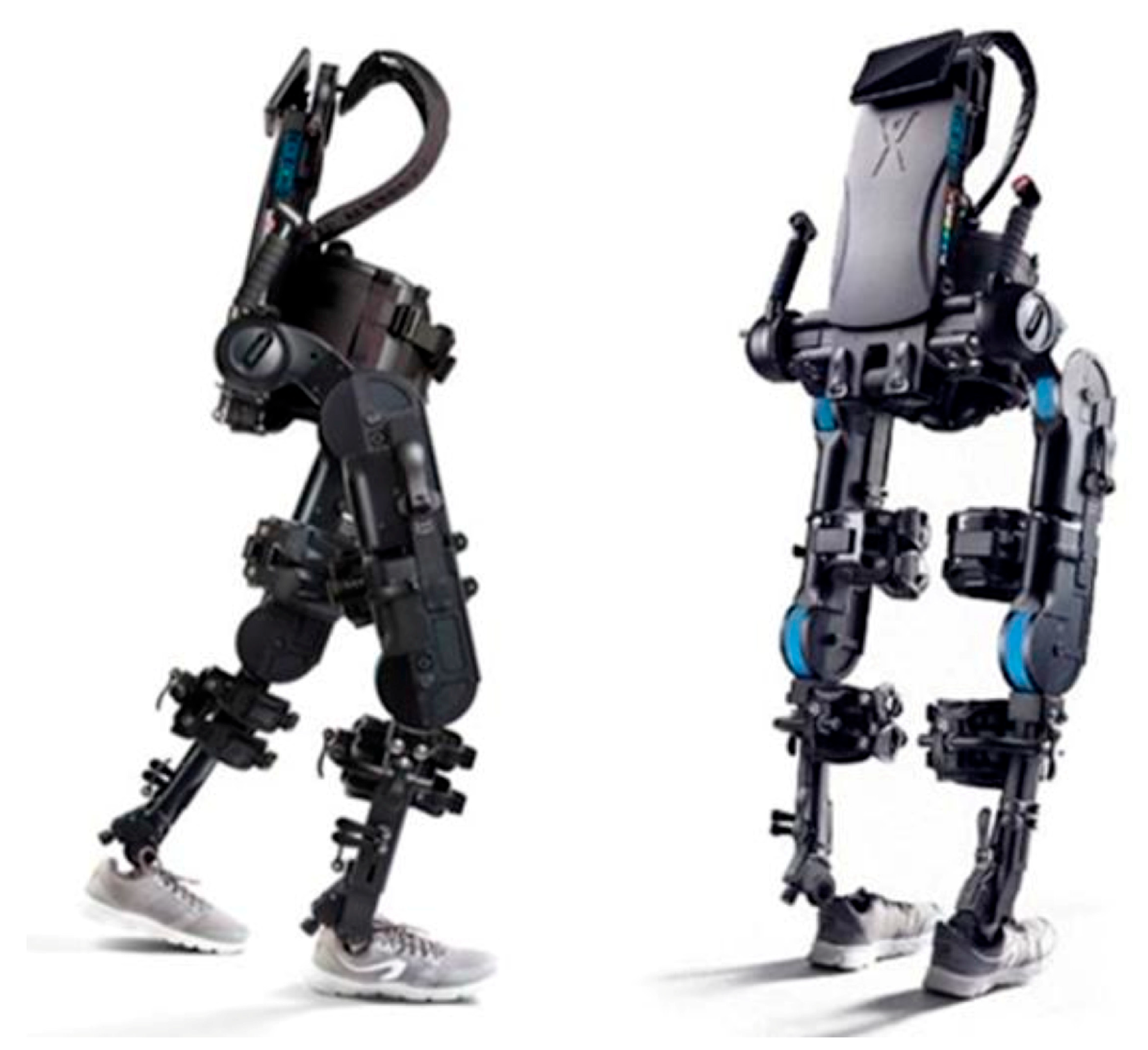 Bioengineering 12 00826 g001