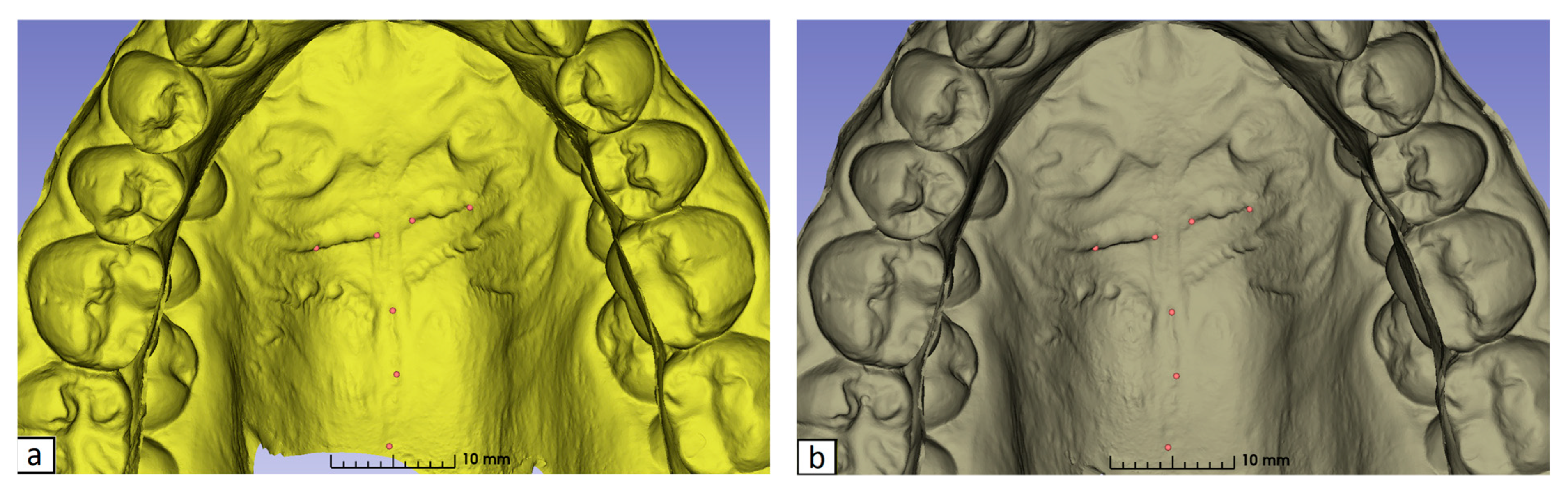 Bioengineering 12 00839 g001