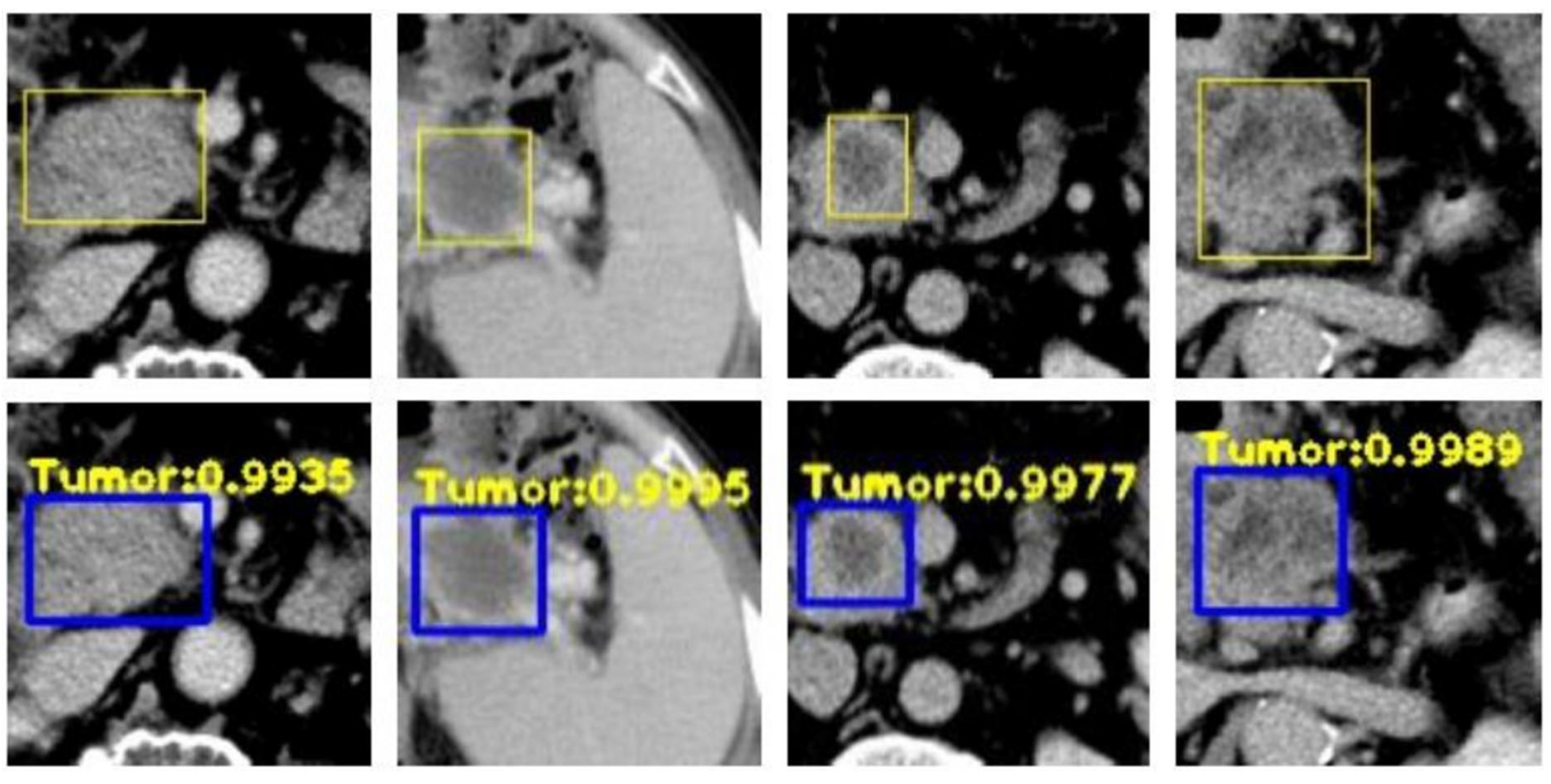 Bioengineering 12 00849 g004