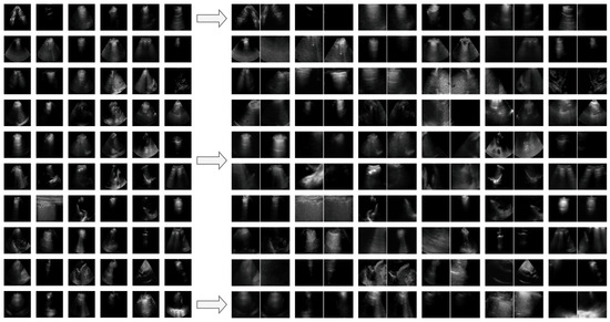 Bioengineering 12 00855 g0a2