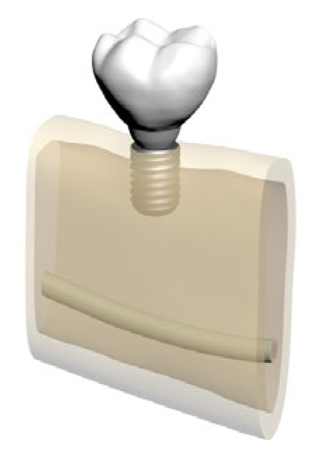 Bioengineering 12 00888 g002