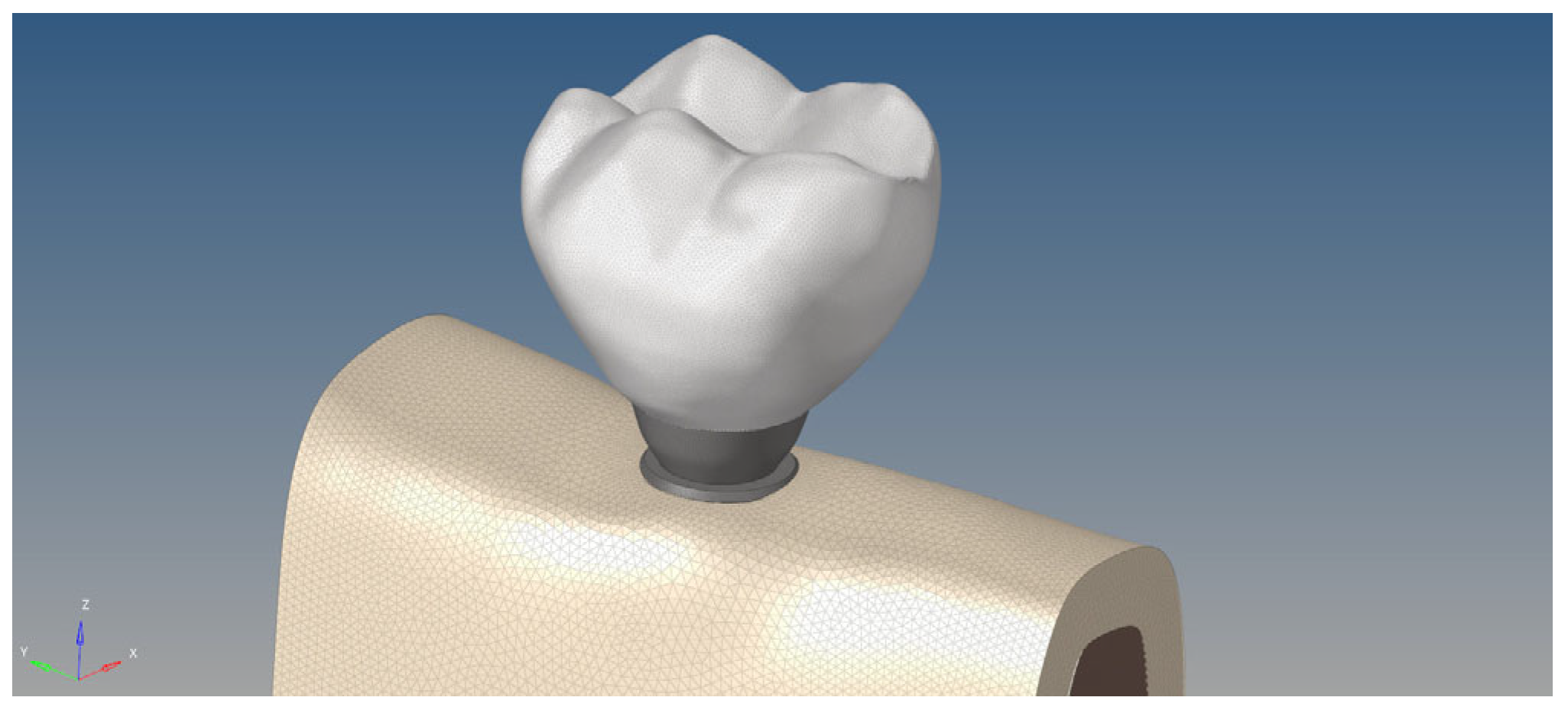 Bioengineering 12 00888 g007