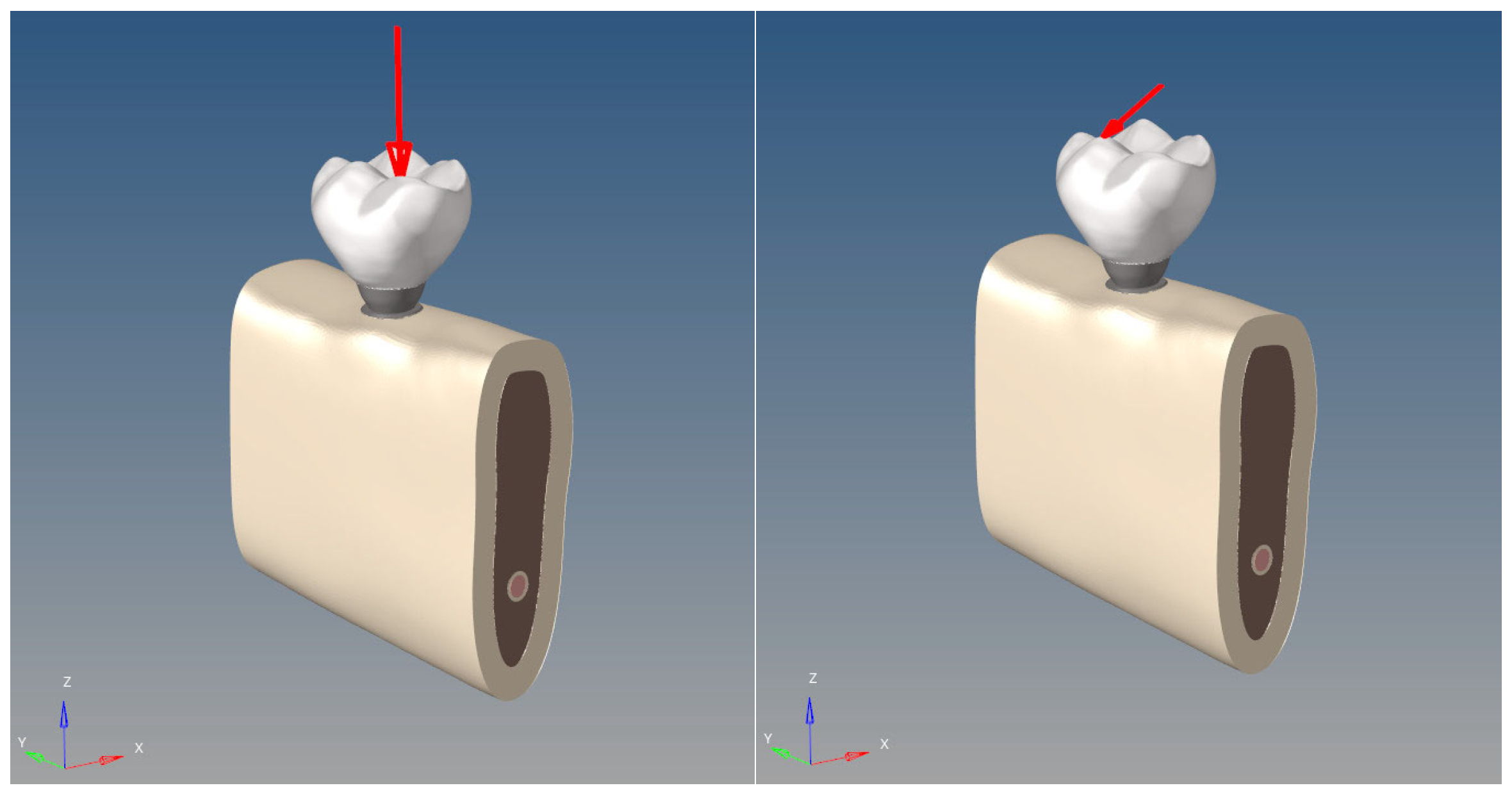 Bioengineering 12 00888 g008