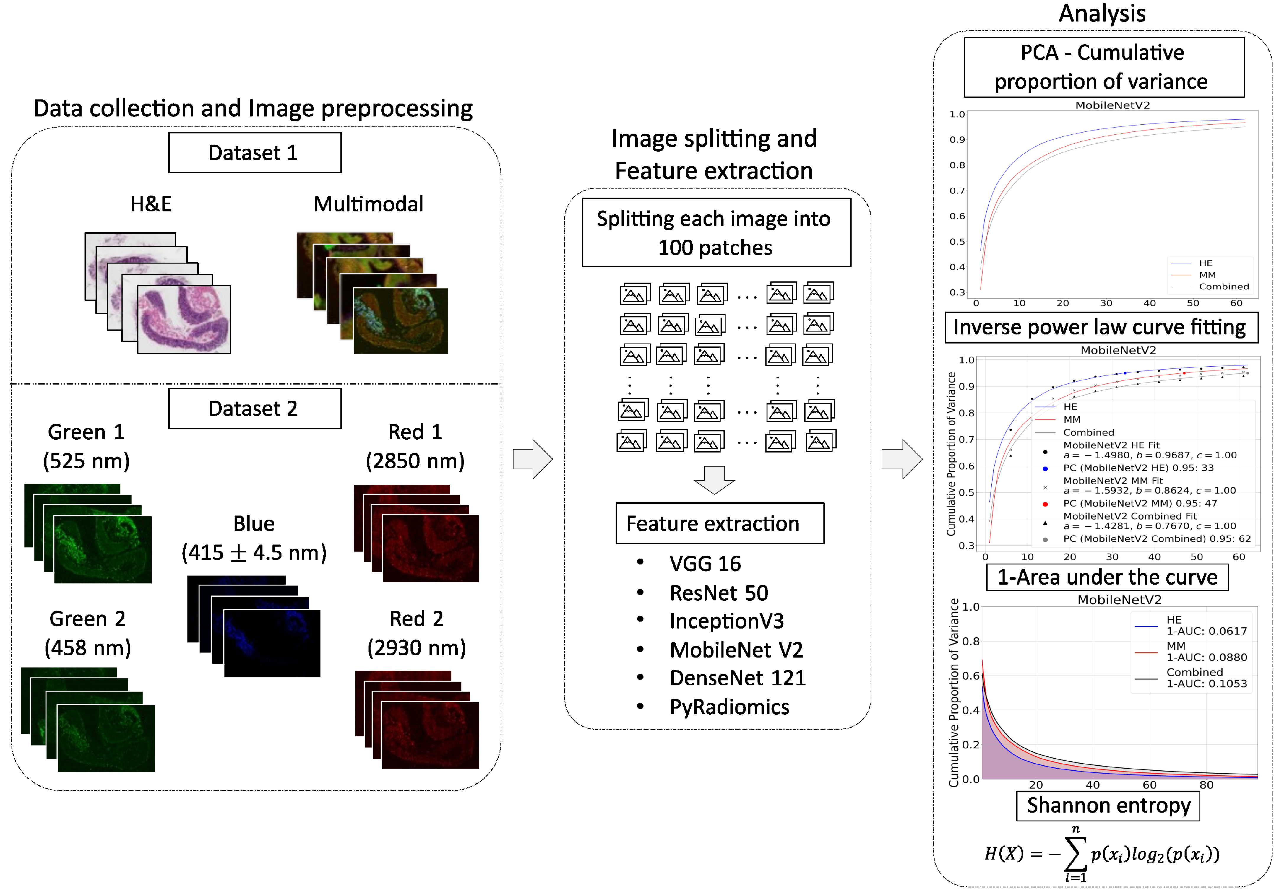 Bioengineering 12 00894 g004 Bioengineering 12 00894 g004