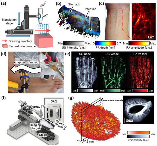 Bioengineering 12 00906 g002