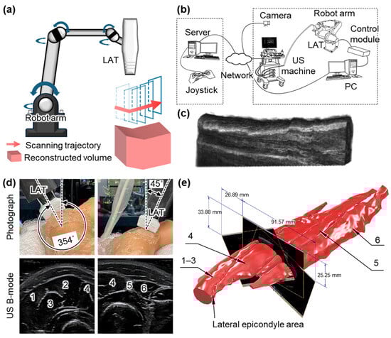 Bioengineering 12 00906 g004