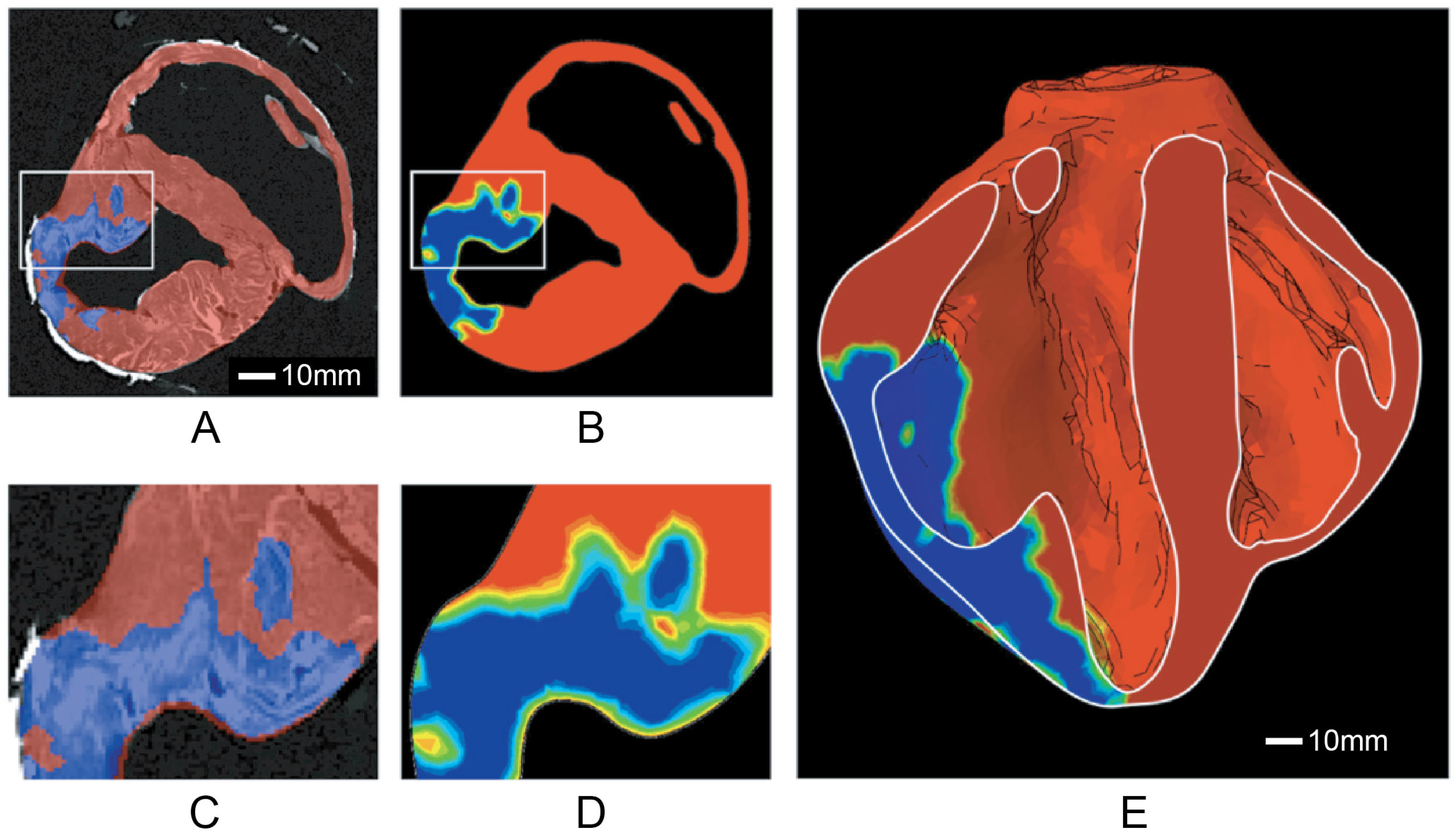 Bioengineering 12 00913 g002