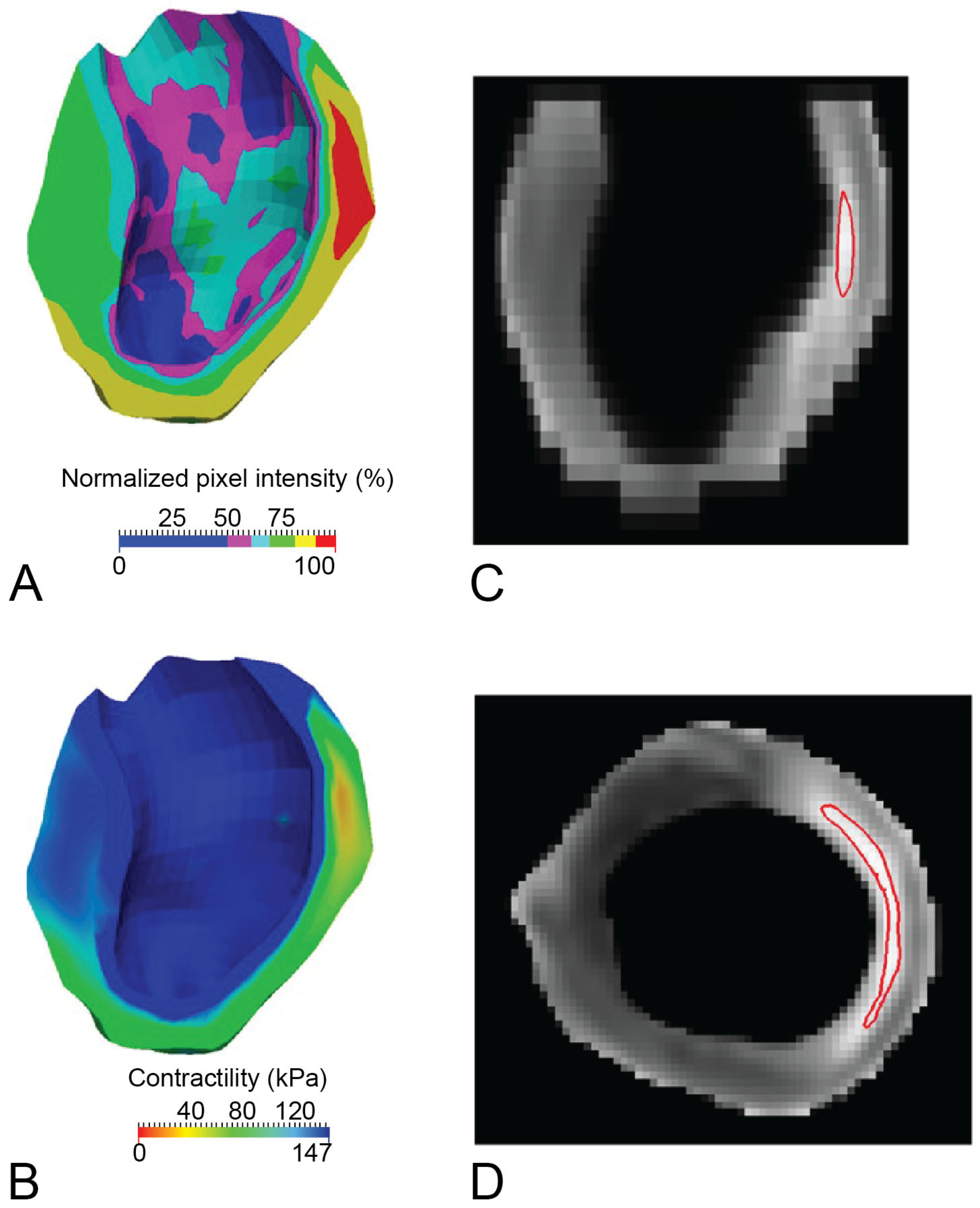 Bioengineering 12 00913 g003