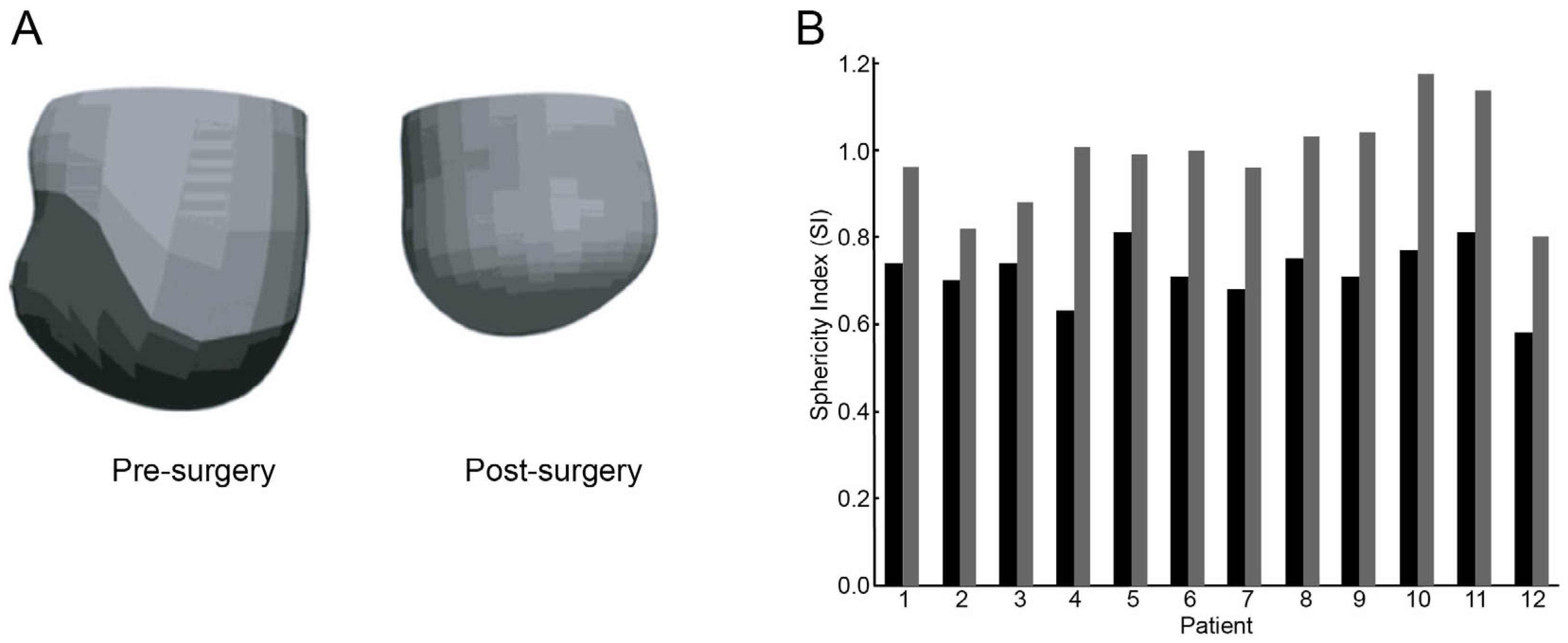 Bioengineering 12 00913 g005