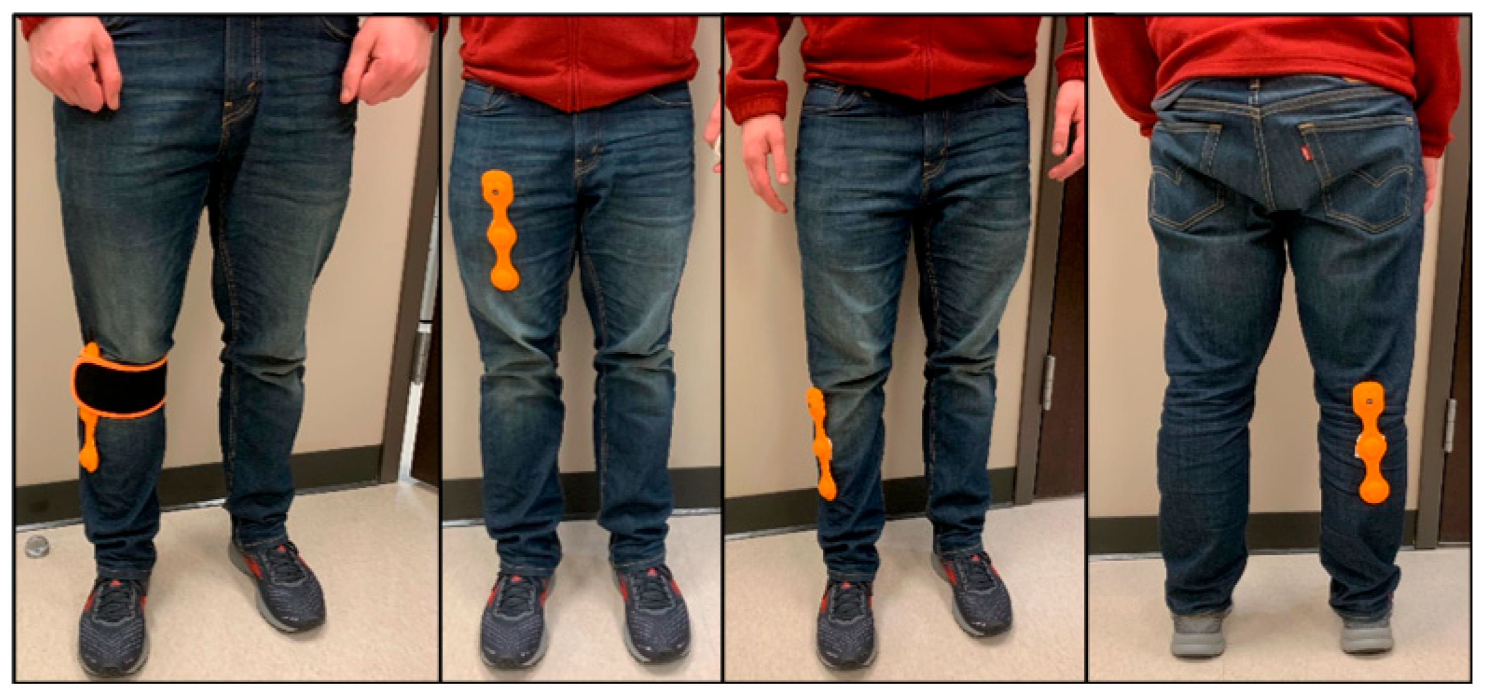 Bioengineering 12 00932 g001 Bioengineering 12 00932 g001