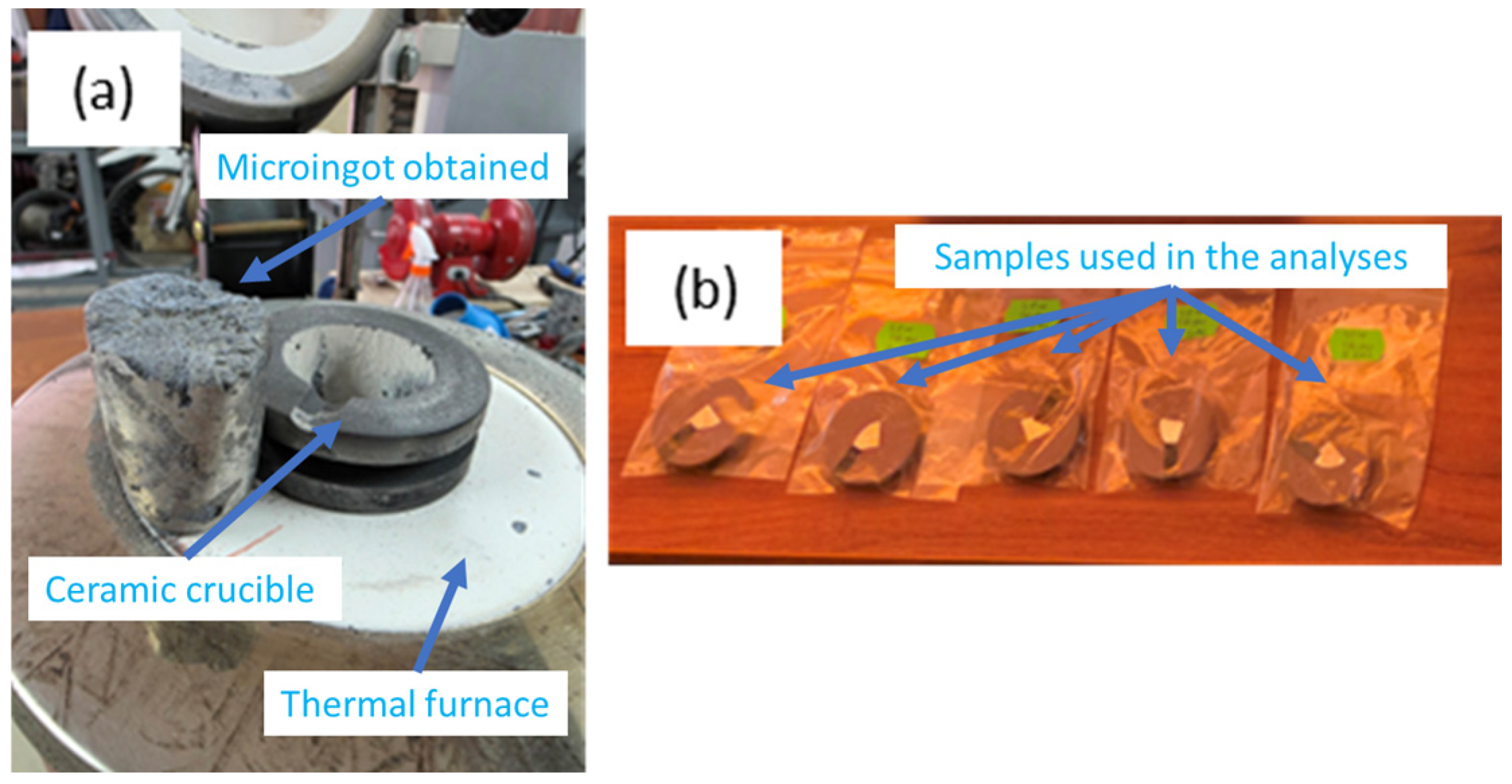 Bioengineering 12 00939 g002