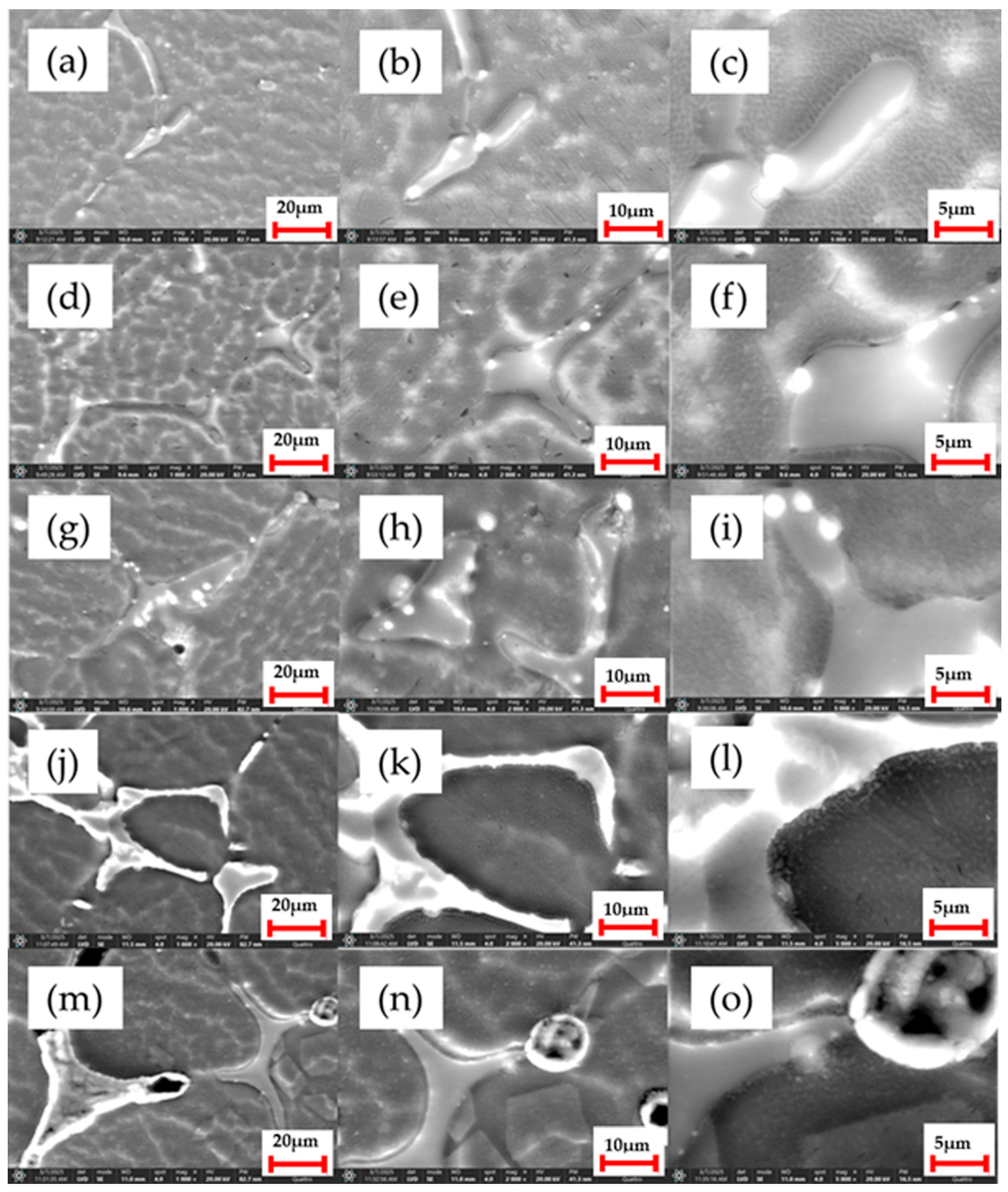 Bioengineering 12 00939 g004