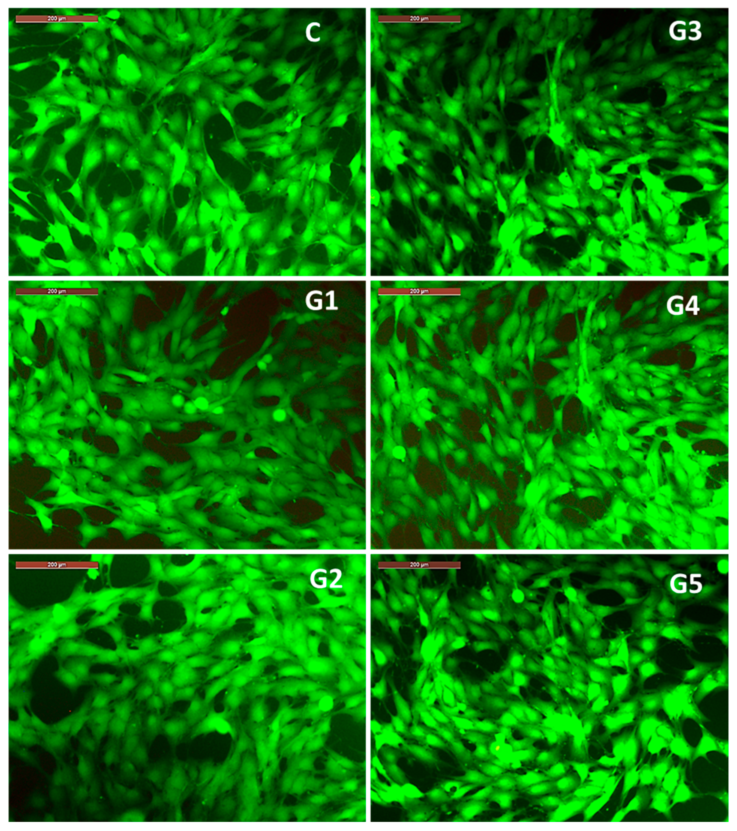 Bioengineering 12 00939 g011