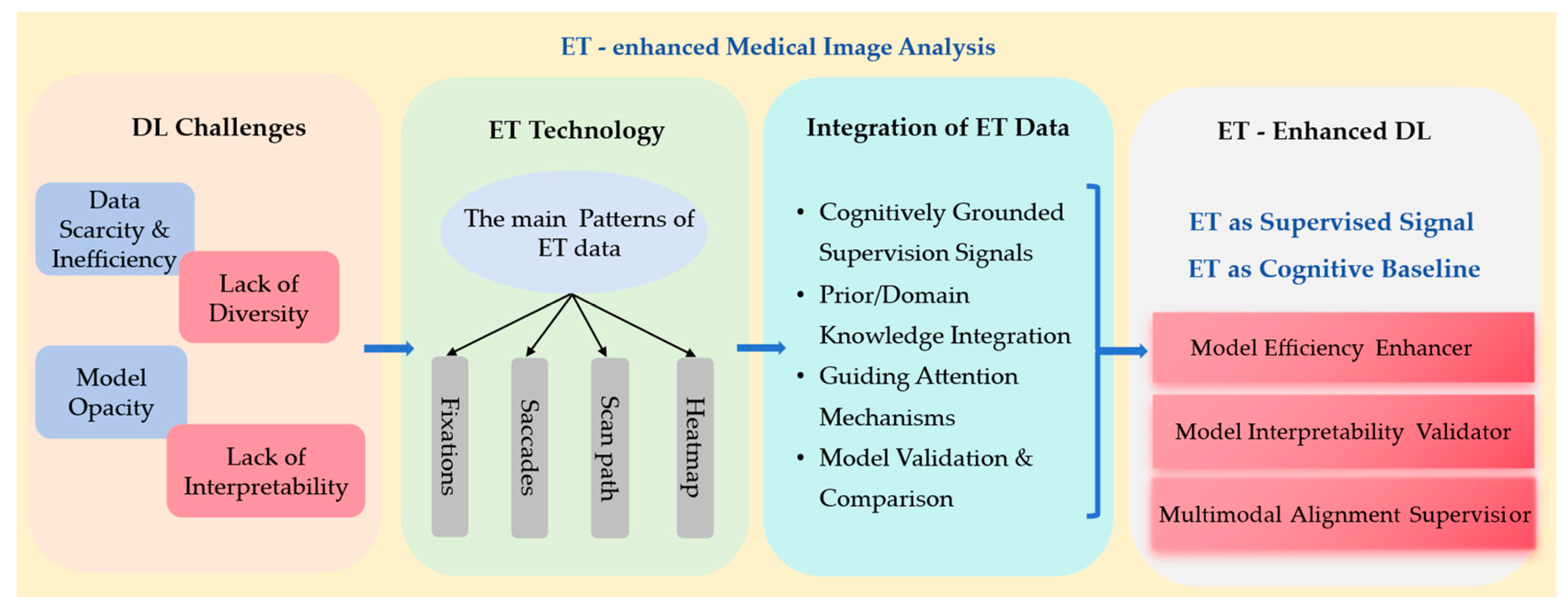 Bioengineering 12 00954 g001