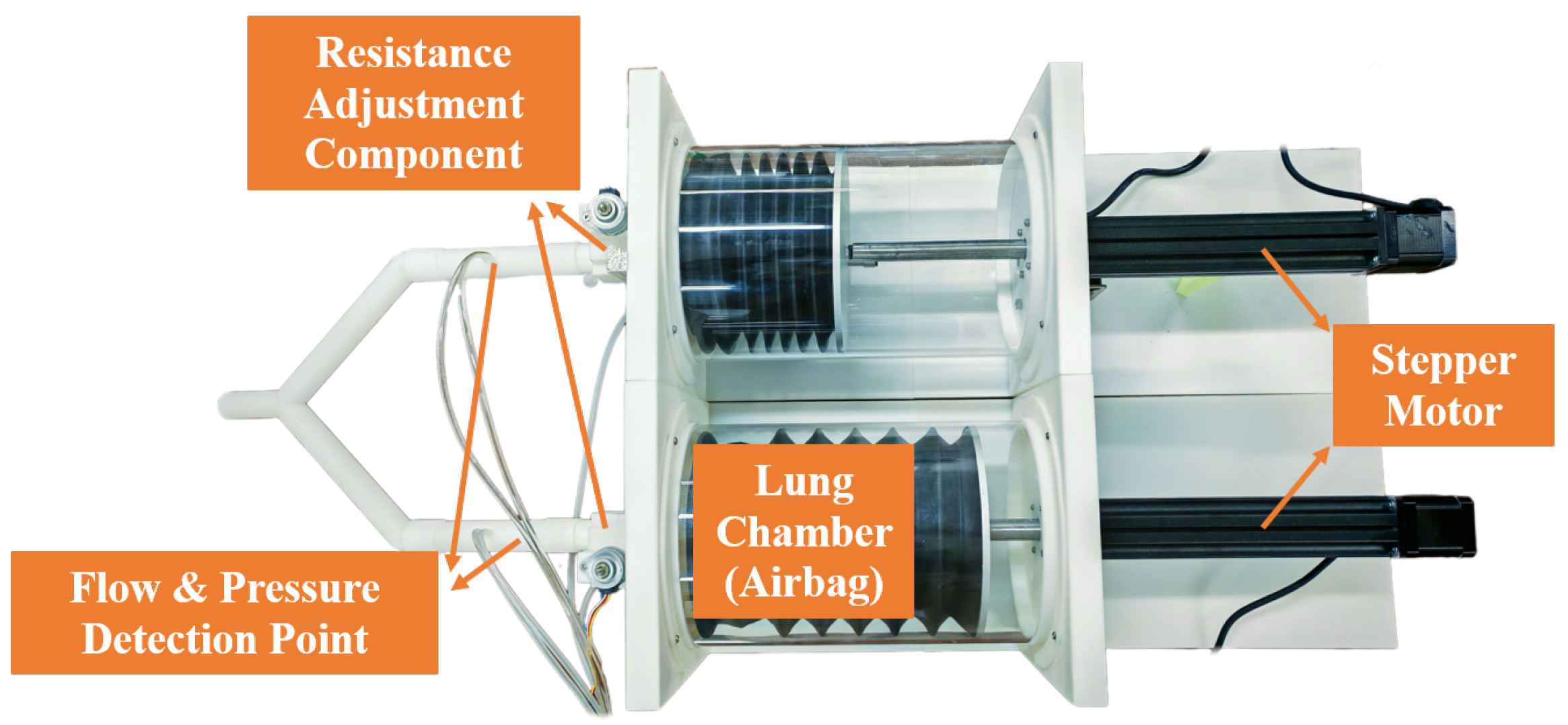 Bioengineering 12 00963 g001