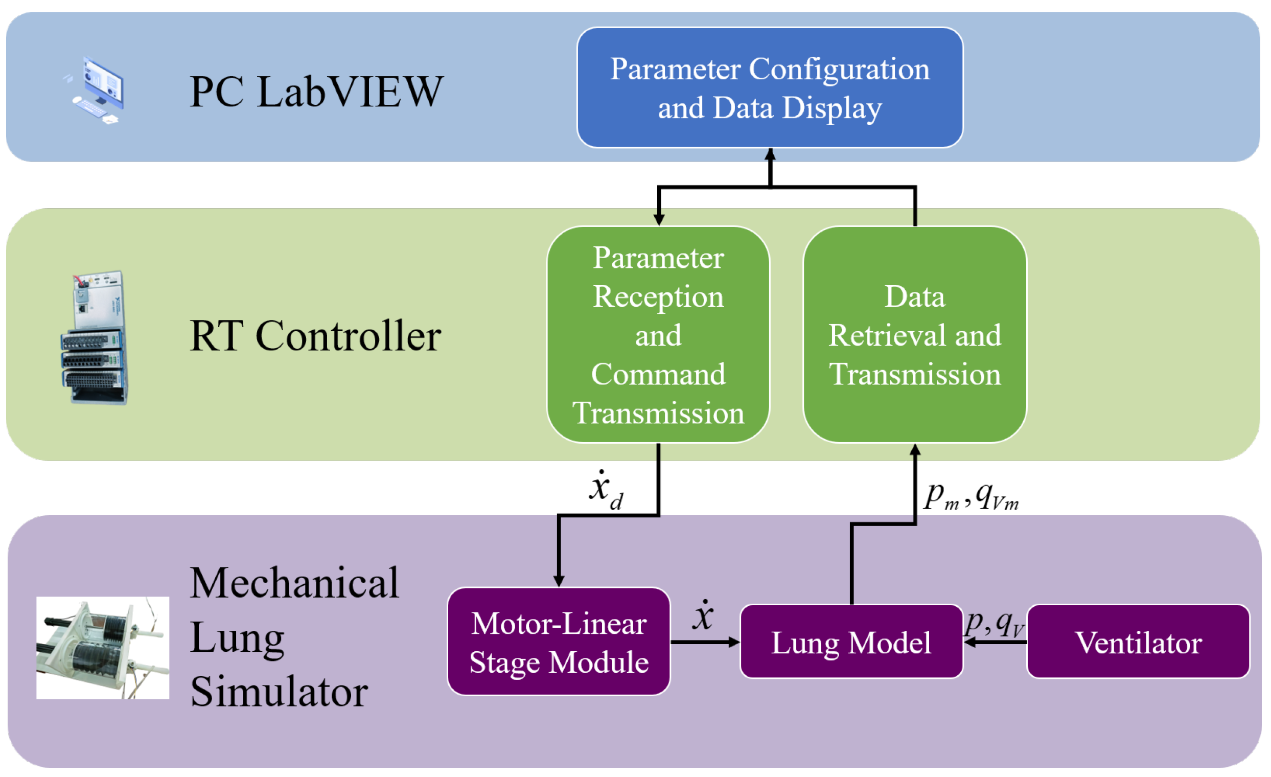 Bioengineering 12 00963 g002