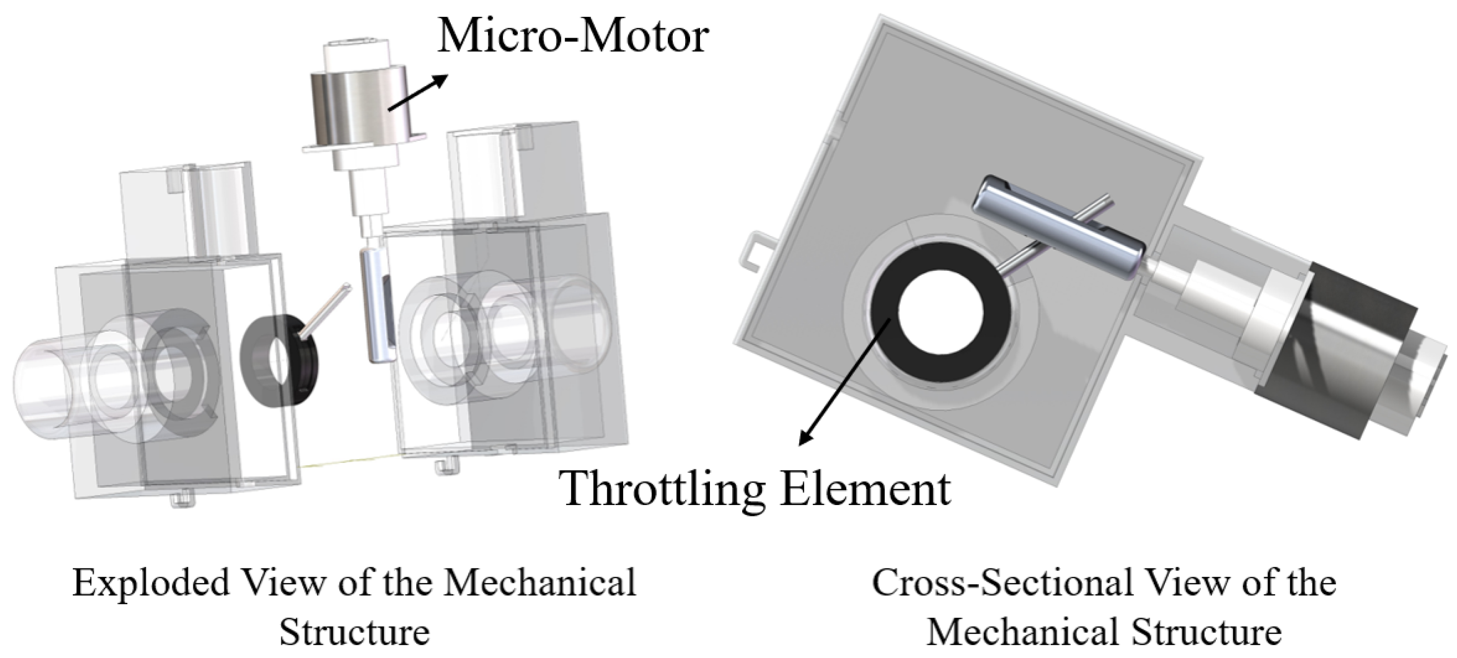 Bioengineering 12 00963 g003