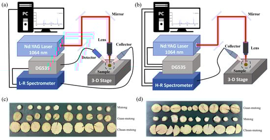 Bioengineering 12 00964 g001