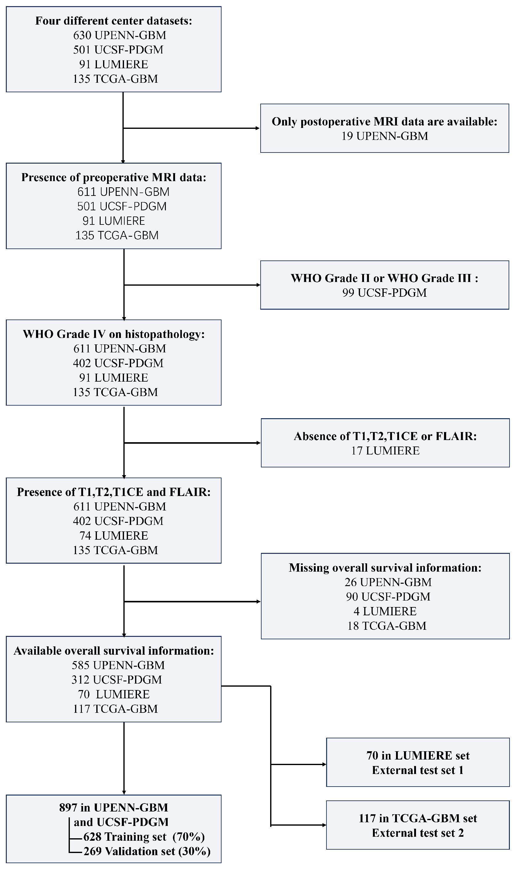 Bioengineering 12 00978 g001
