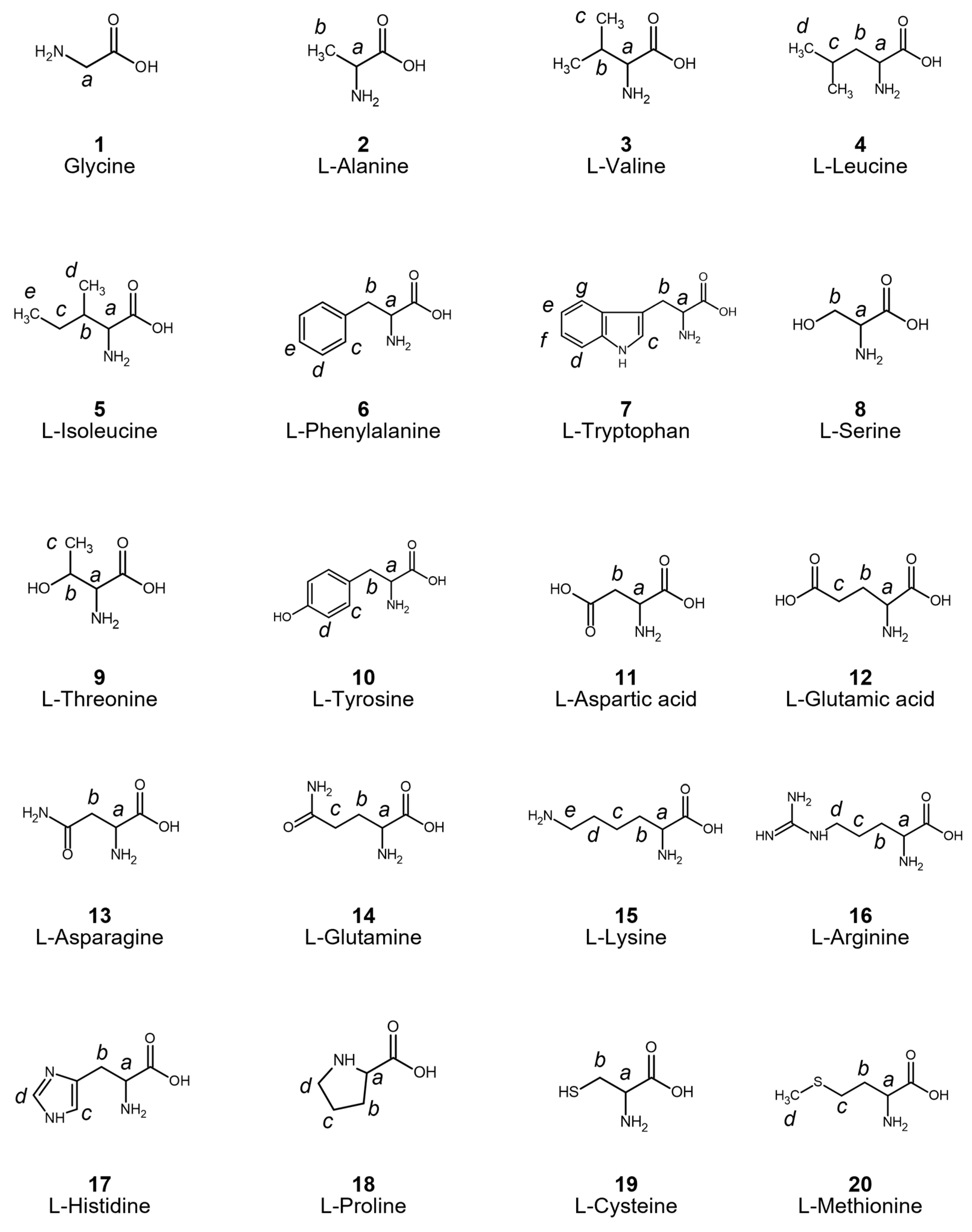 Bioengineering 12 00981 g001