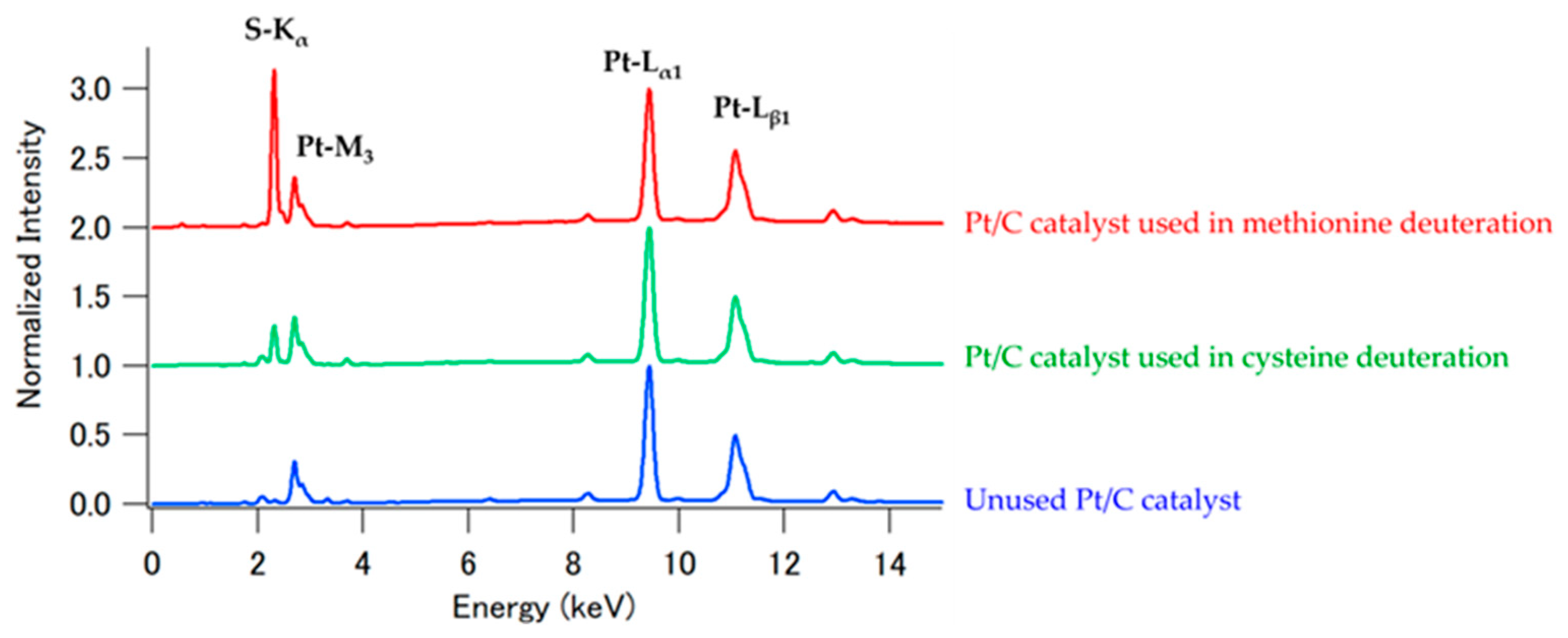 Bioengineering 12 00981 g003