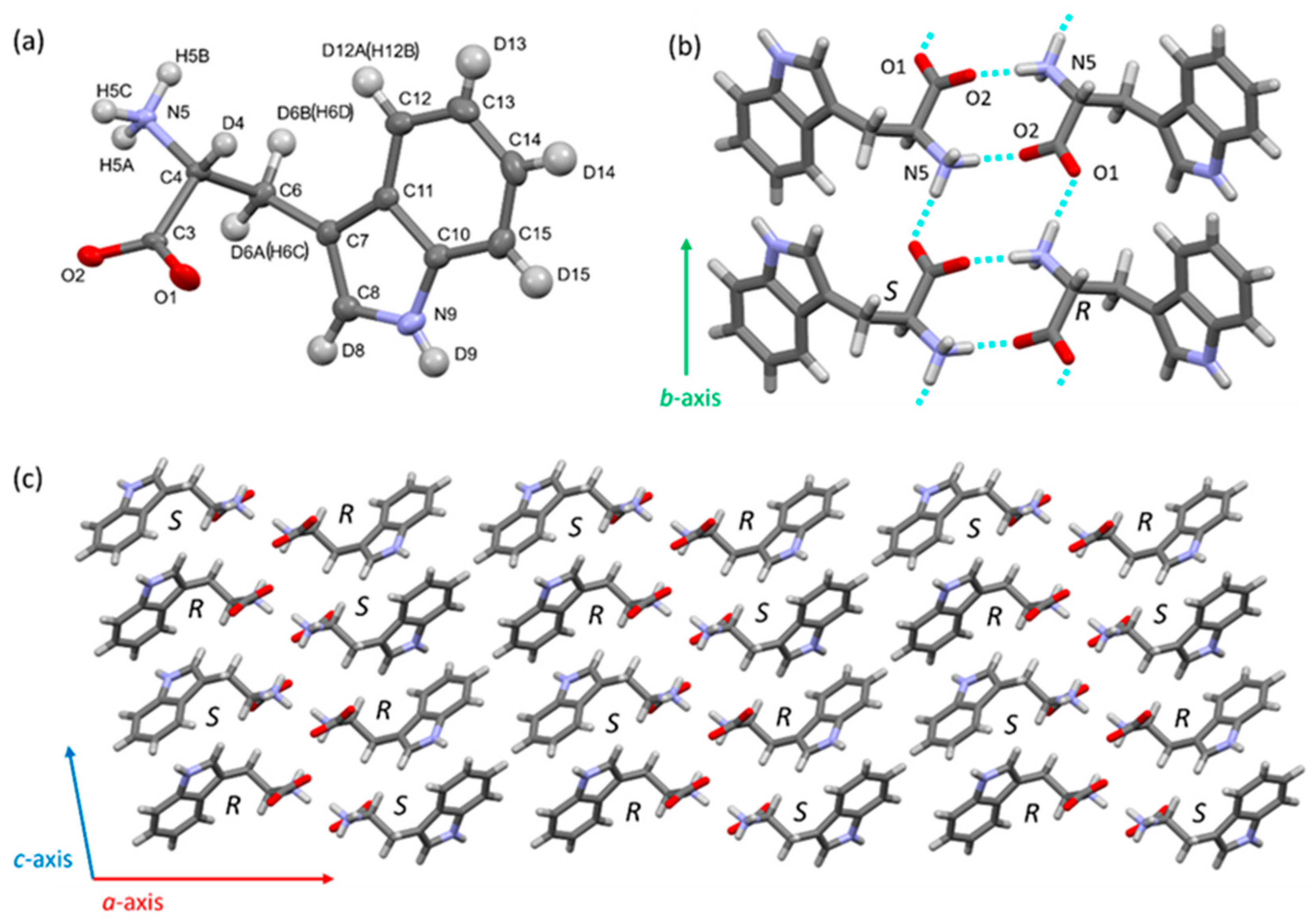 Bioengineering 12 00981 g007