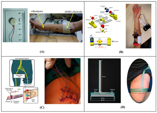 Bioengineering 12 00989 g001