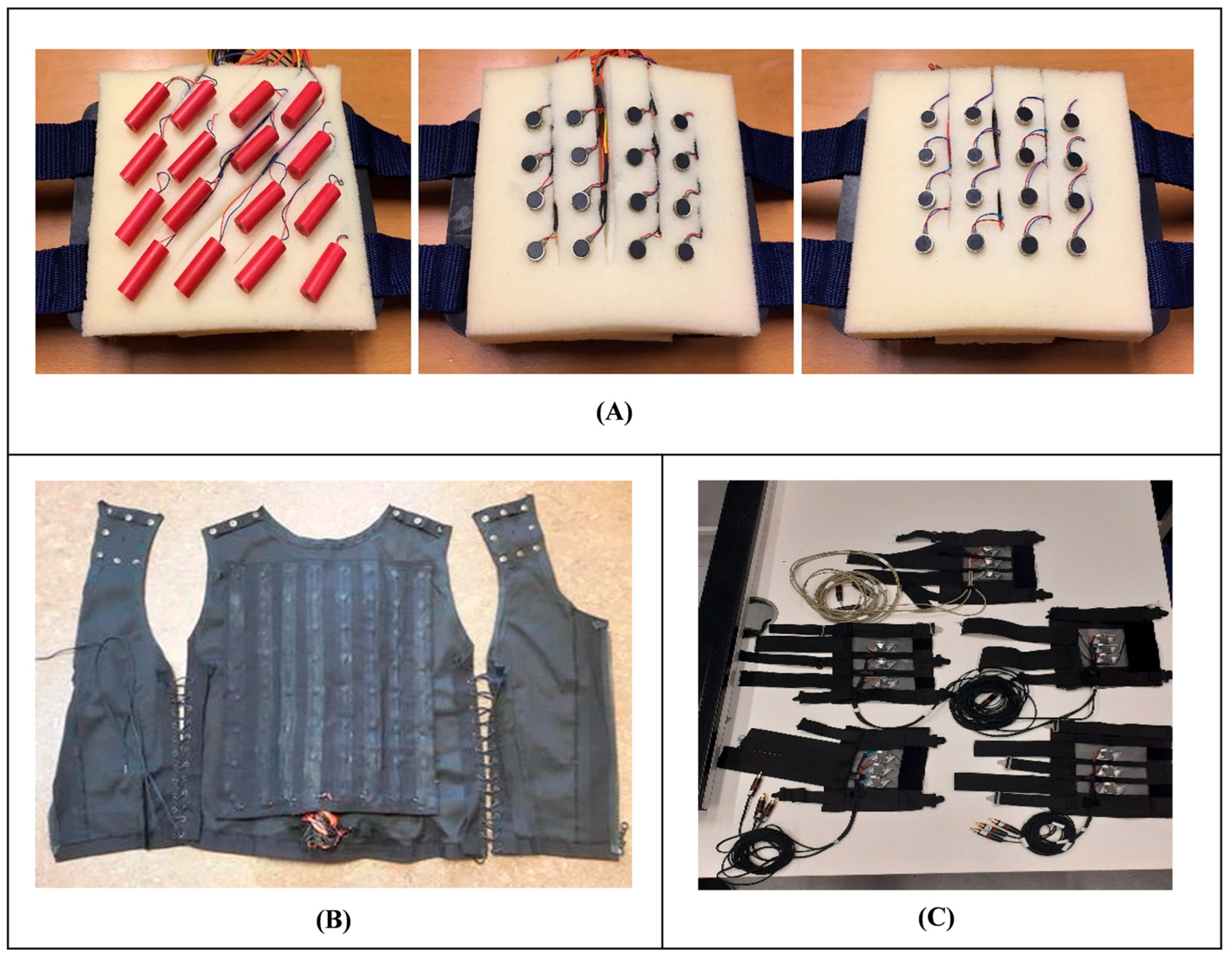 Bioengineering 12 00989 g002