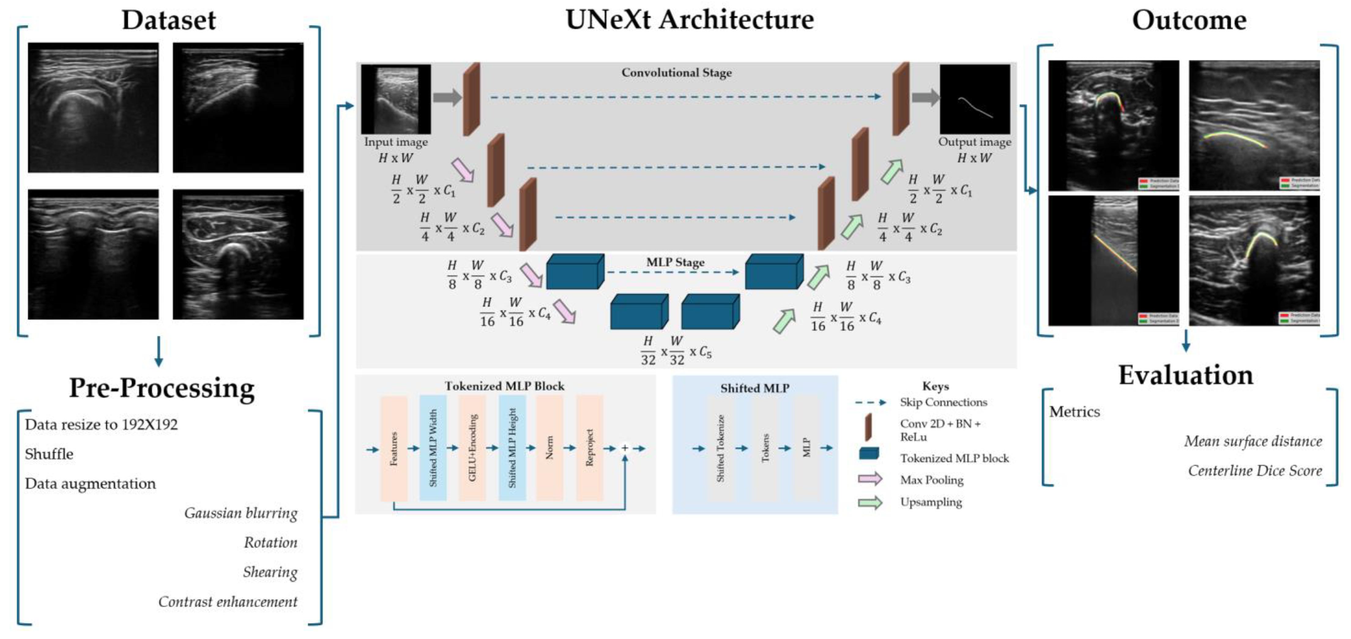 Bioengineering 12 01008 g002 Bioengineering 12 01008 g002