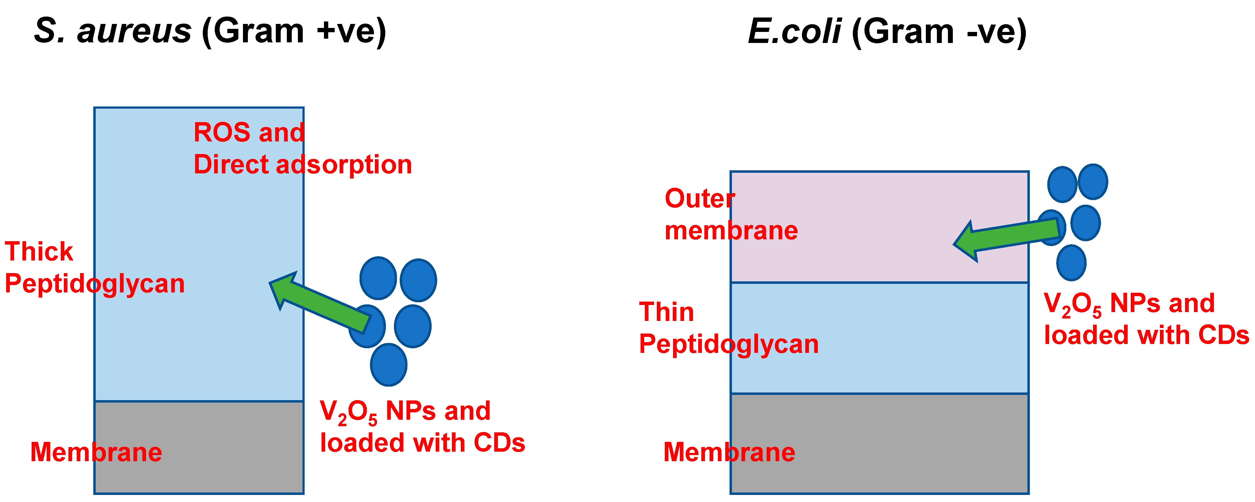 Bioengineering 12 01010 g009 Bioengineering 12 01010 g009