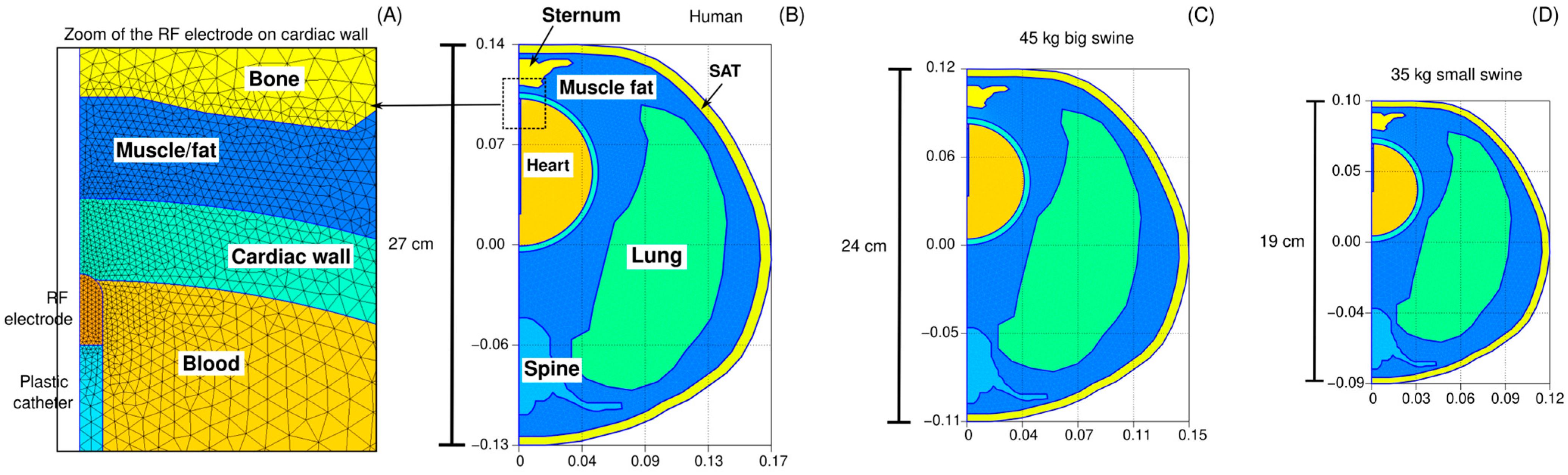 Bioengineering 12 01017 g002