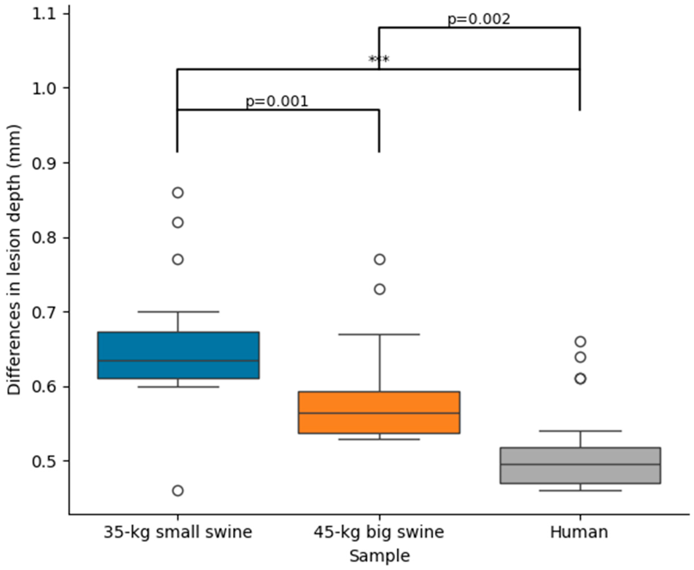 Bioengineering 12 01017 g004