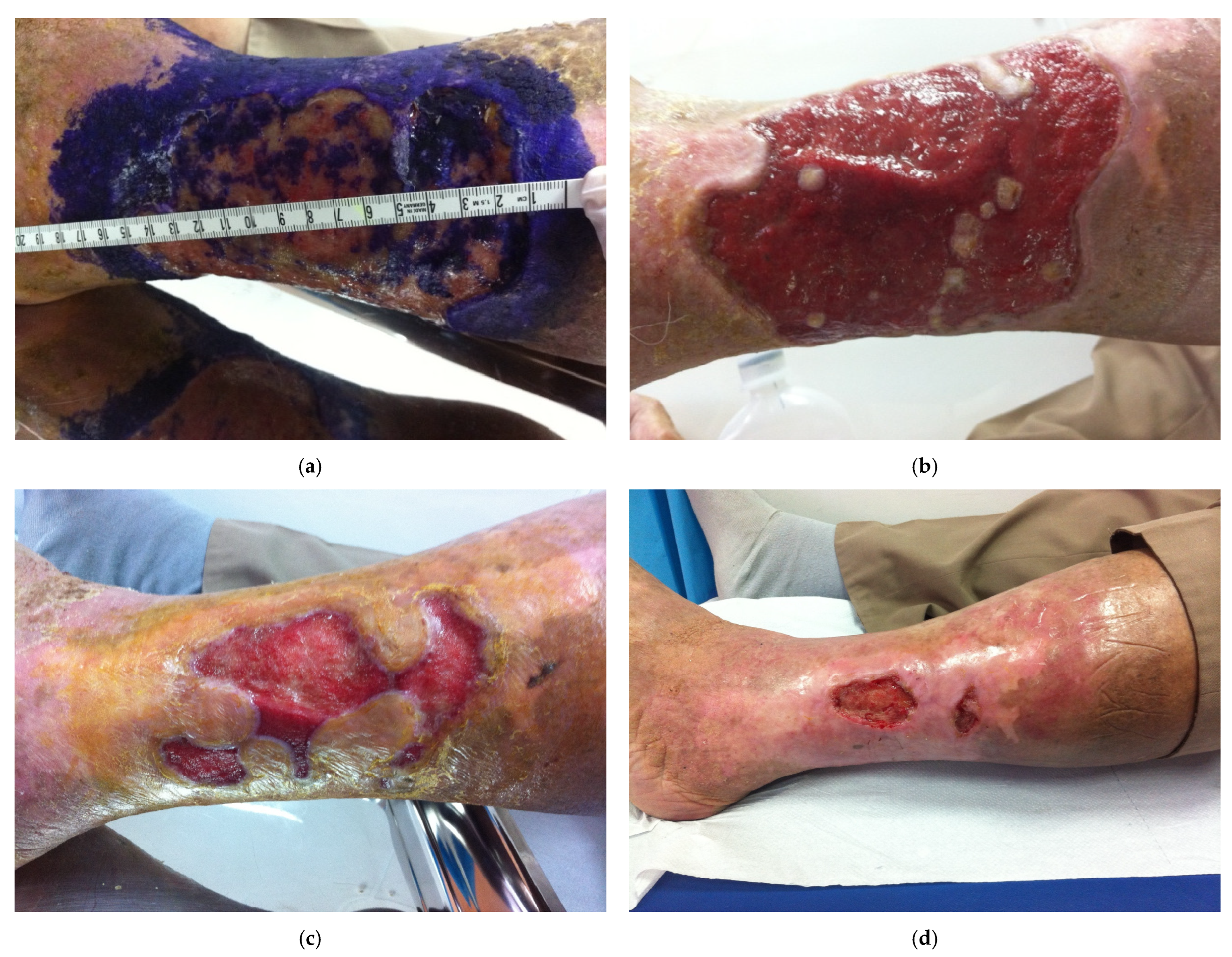 Bioengineering 12 01053 g001