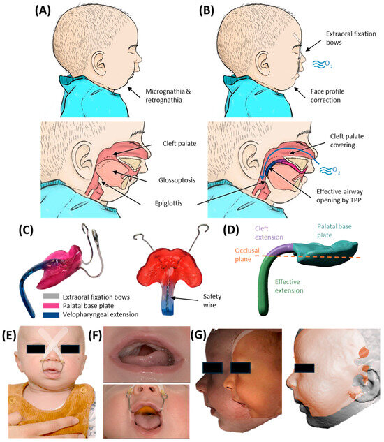 Bioengineering 12 01063 g001