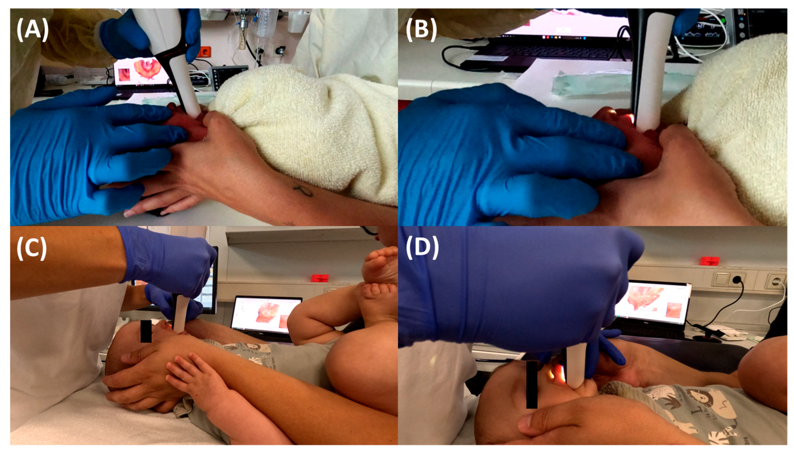 Bioengineering 12 01063 g004