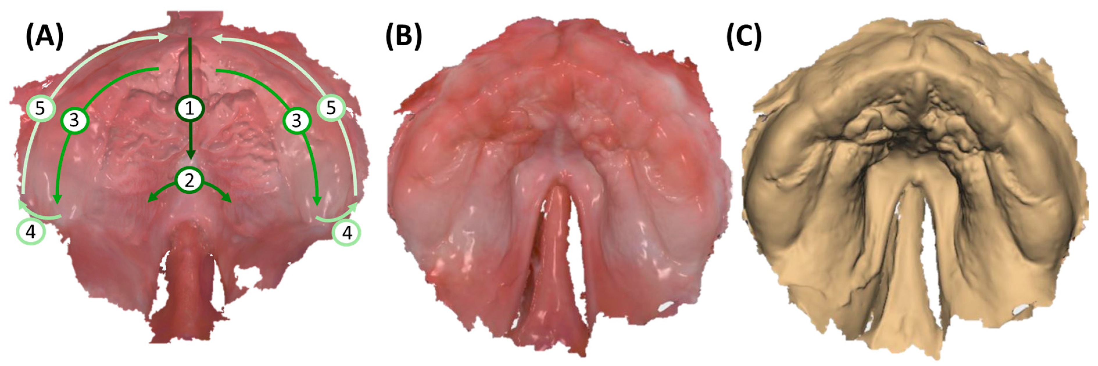 Bioengineering 12 01063 g005