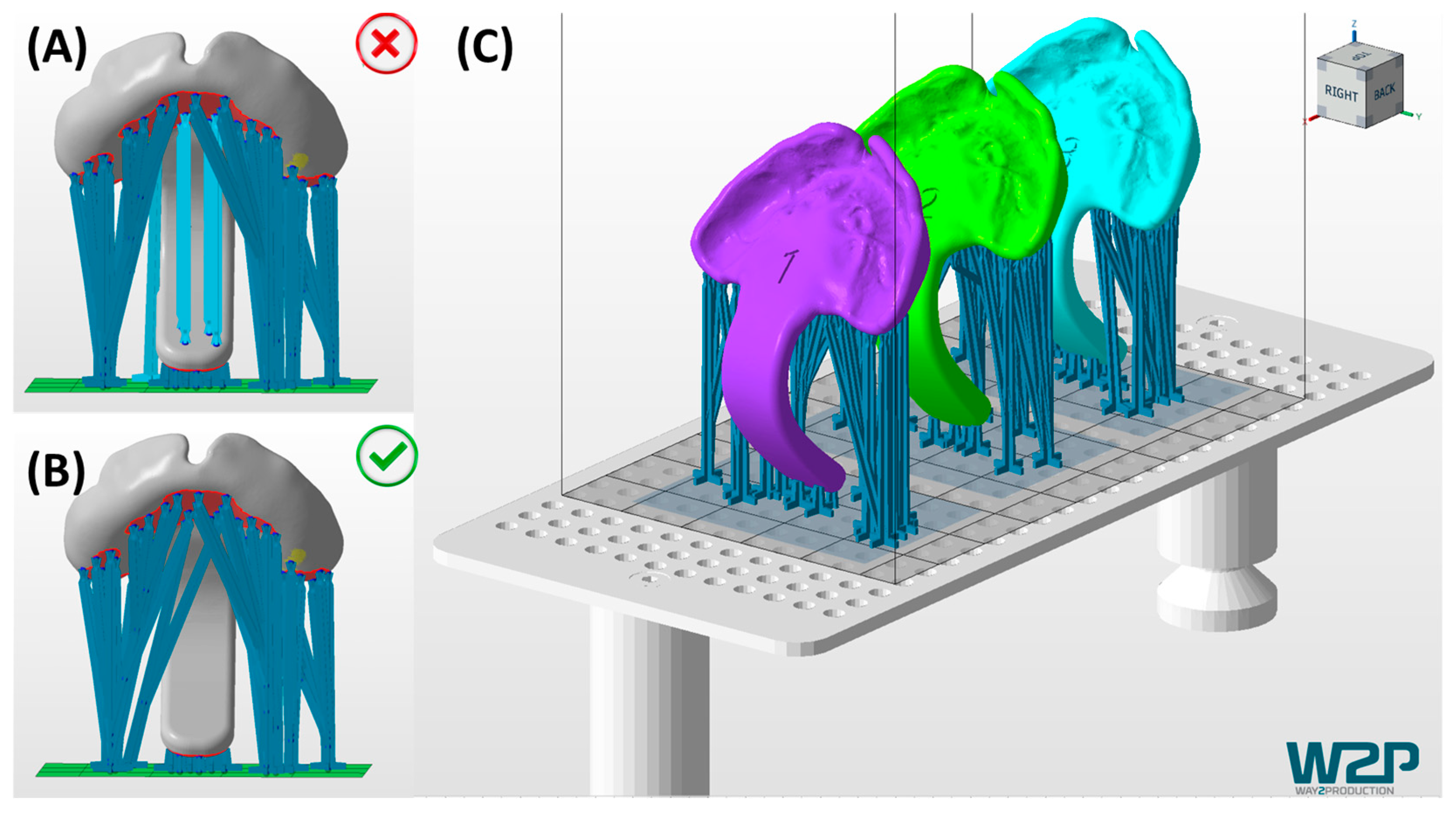 Bioengineering 12 01063 g009