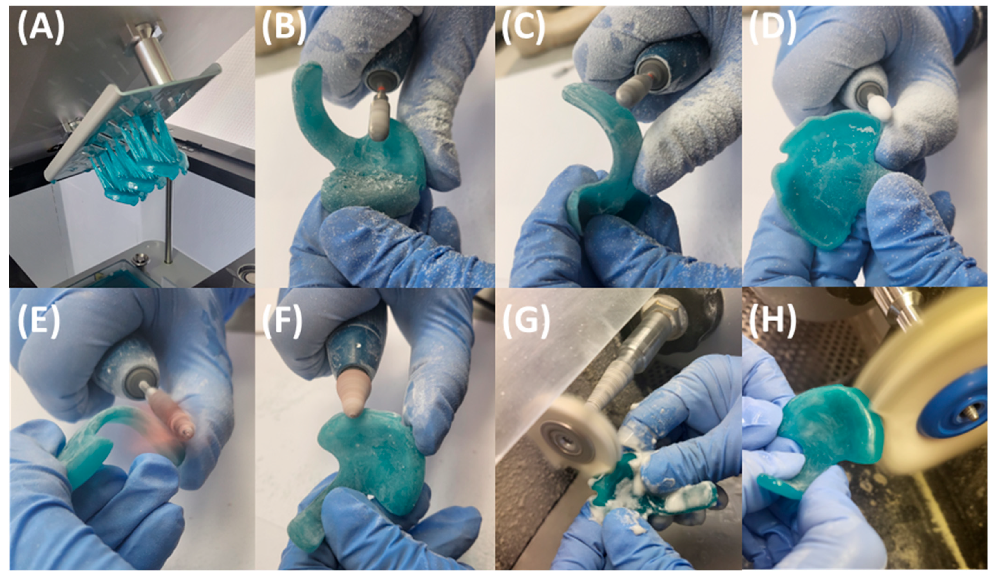 Bioengineering 12 01063 g010
