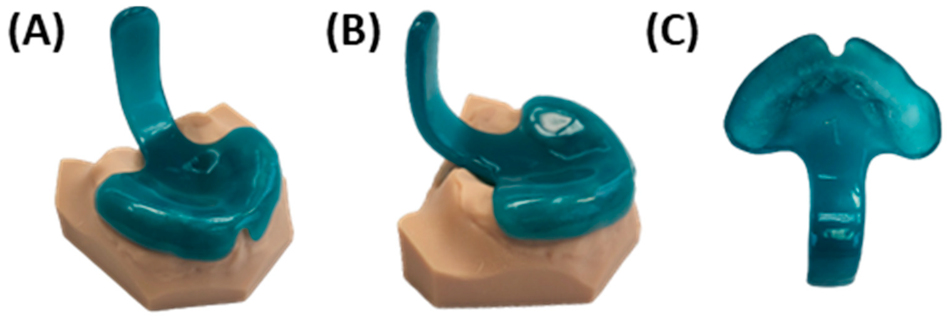 Bioengineering 12 01063 g011