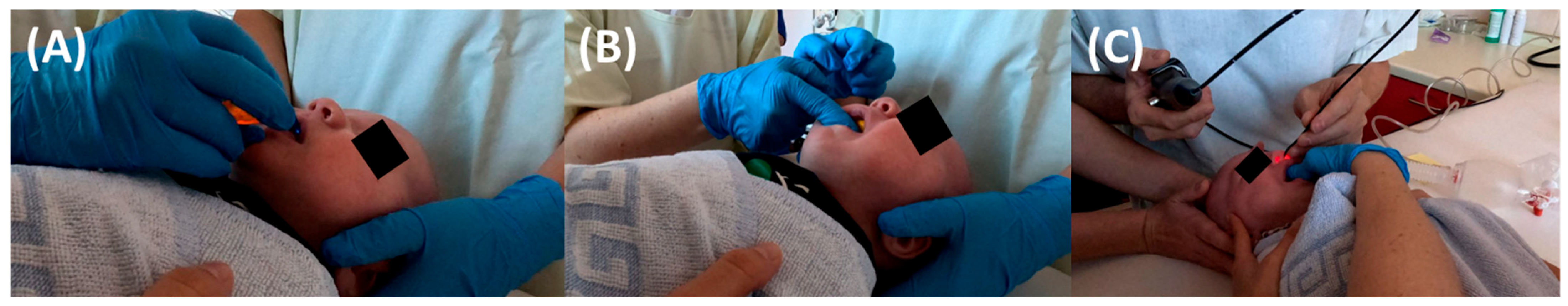 Bioengineering 12 01063 g012