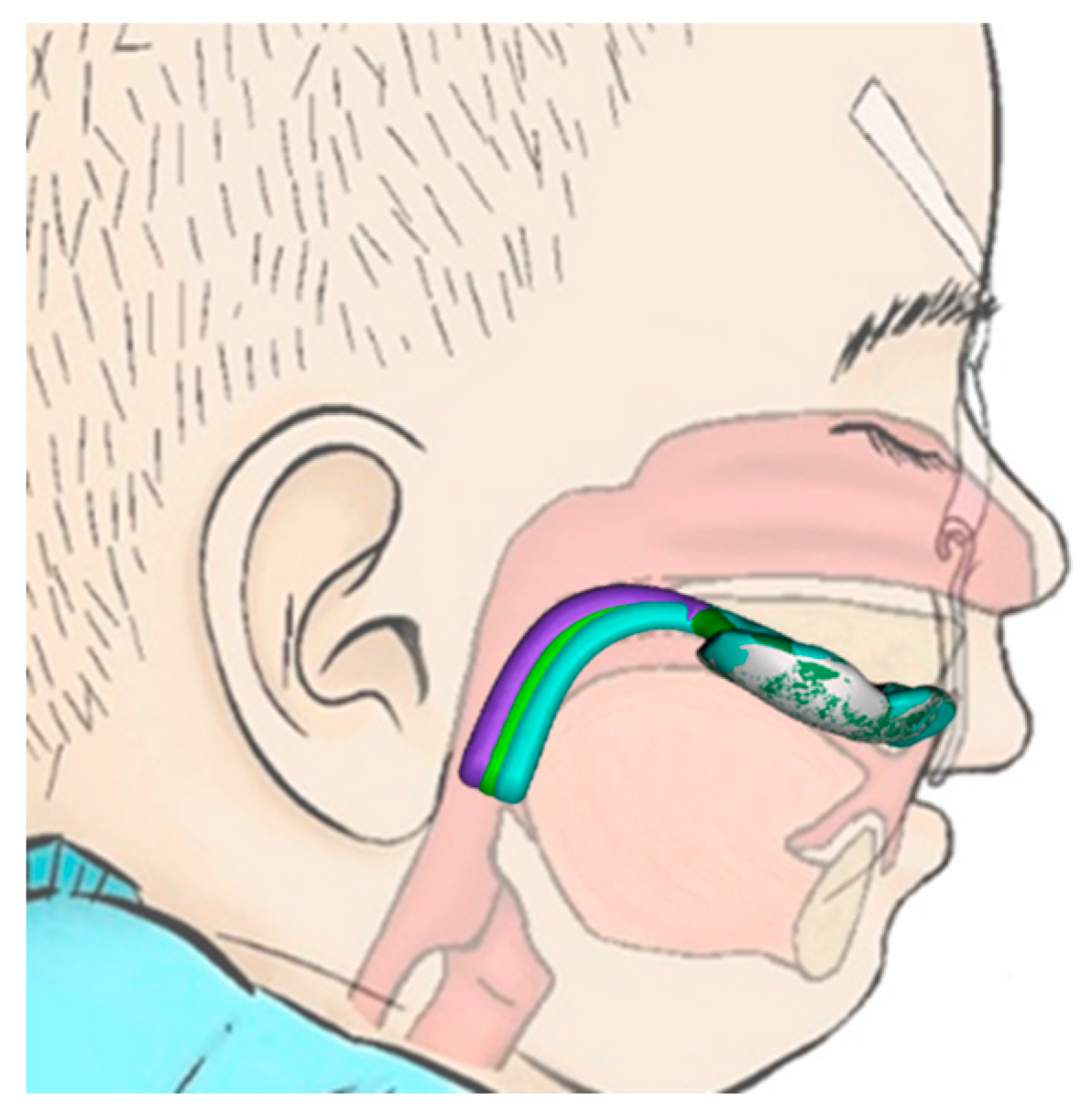 Bioengineering 12 01063 g013
