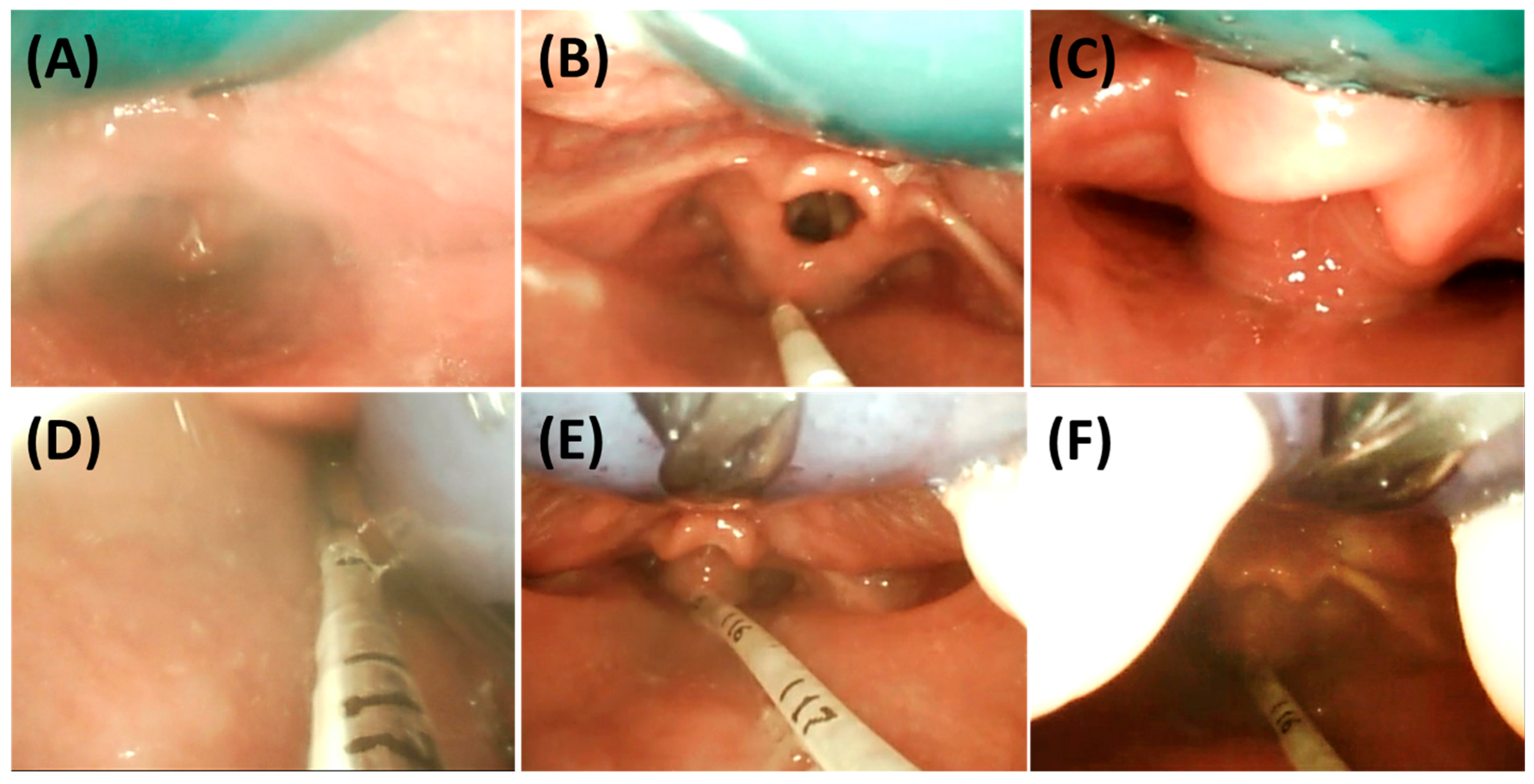 Bioengineering 12 01063 g014