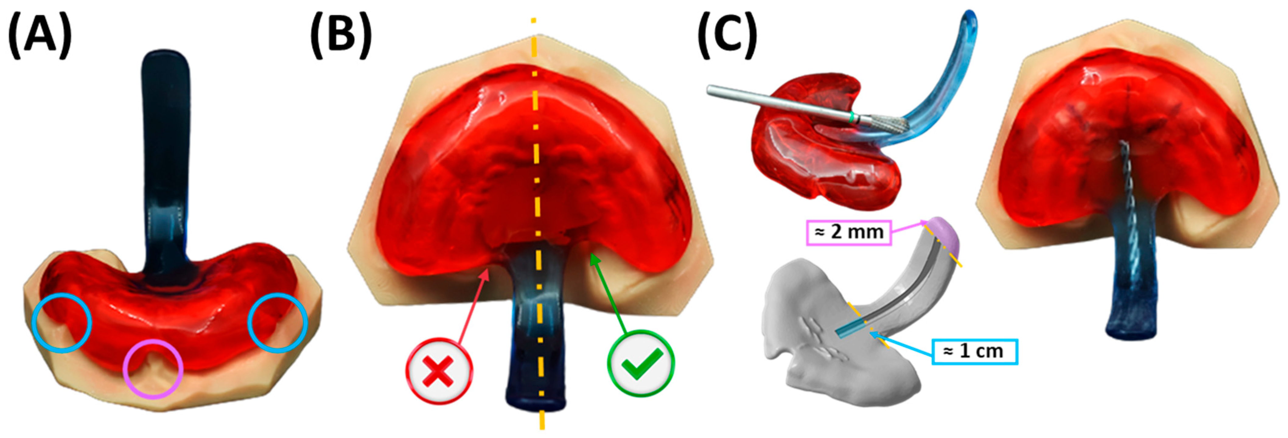Bioengineering 12 01063 g016