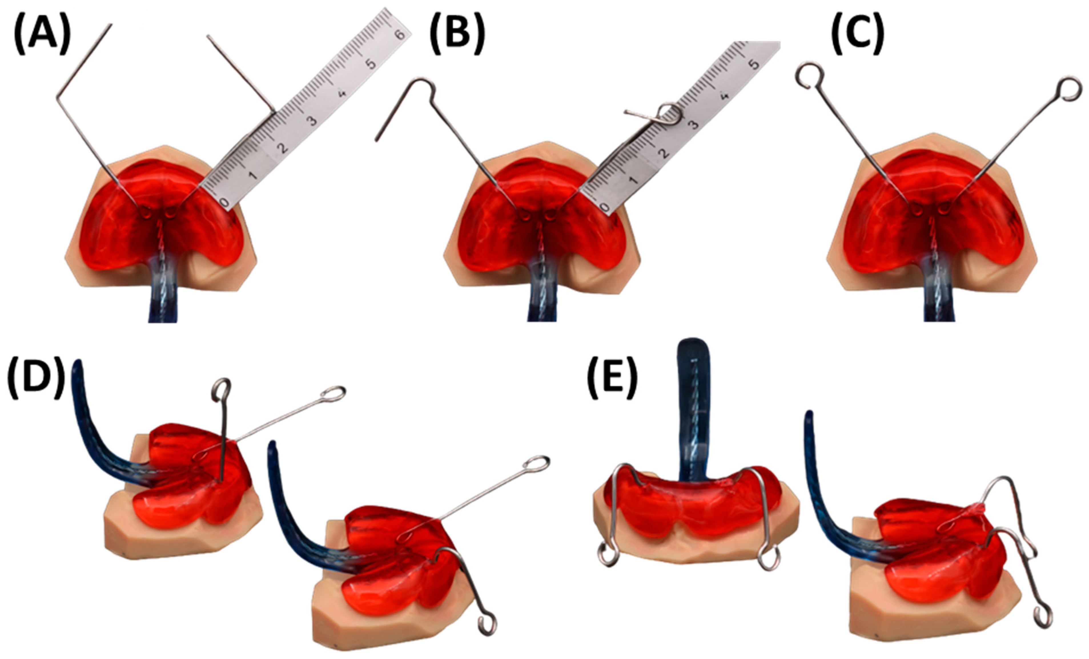 Bioengineering 12 01063 g017