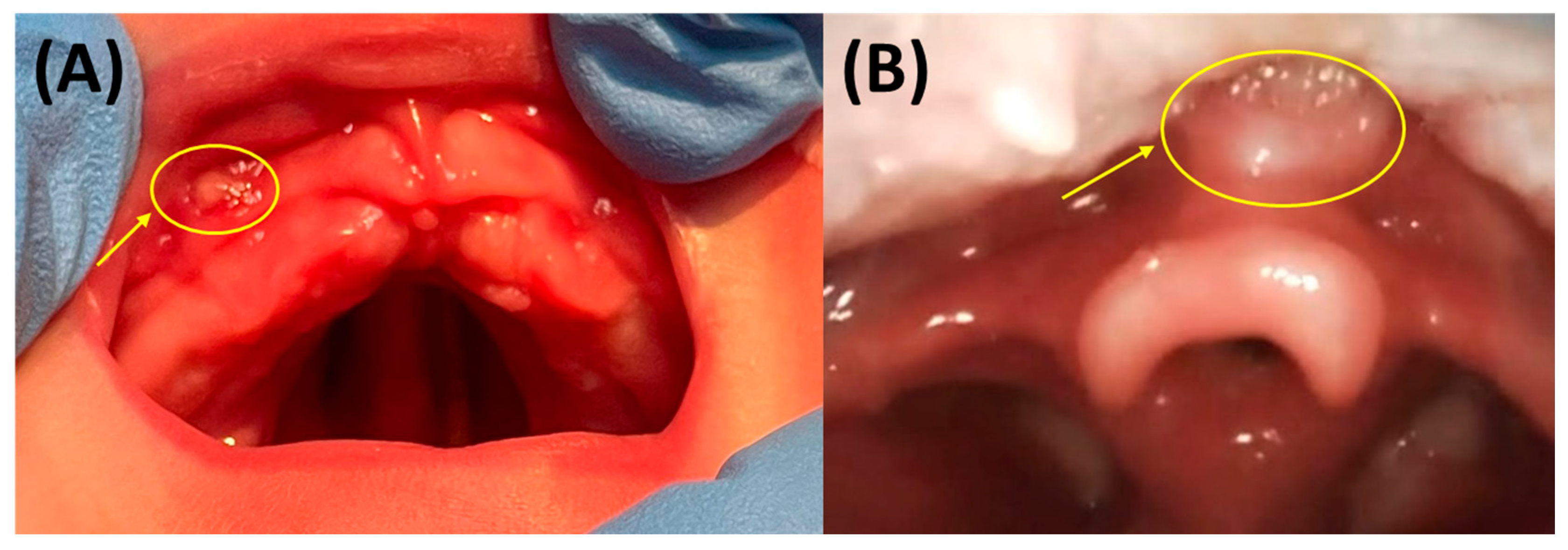 Bioengineering 12 01063 g020