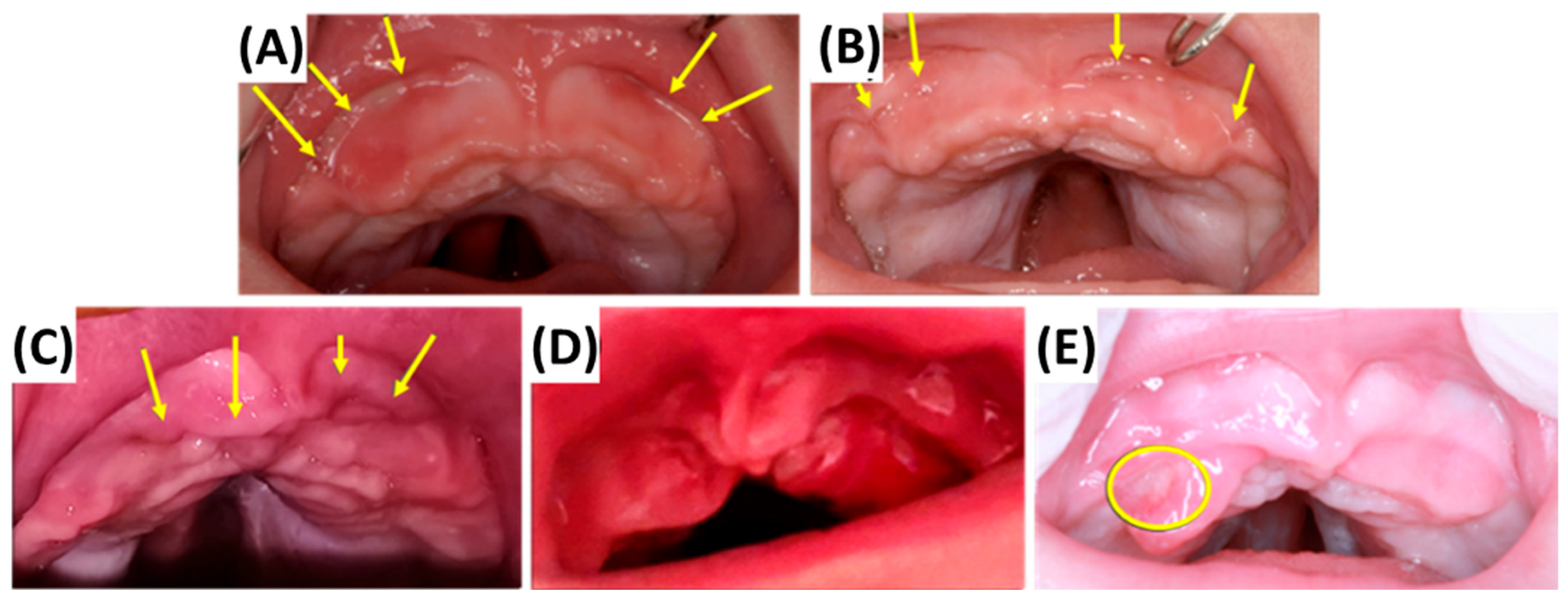 Bioengineering 12 01063 g021