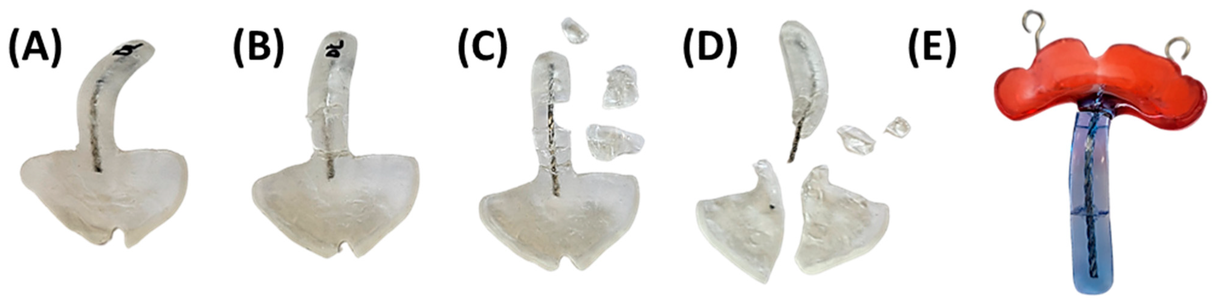Bioengineering 12 01063 g024