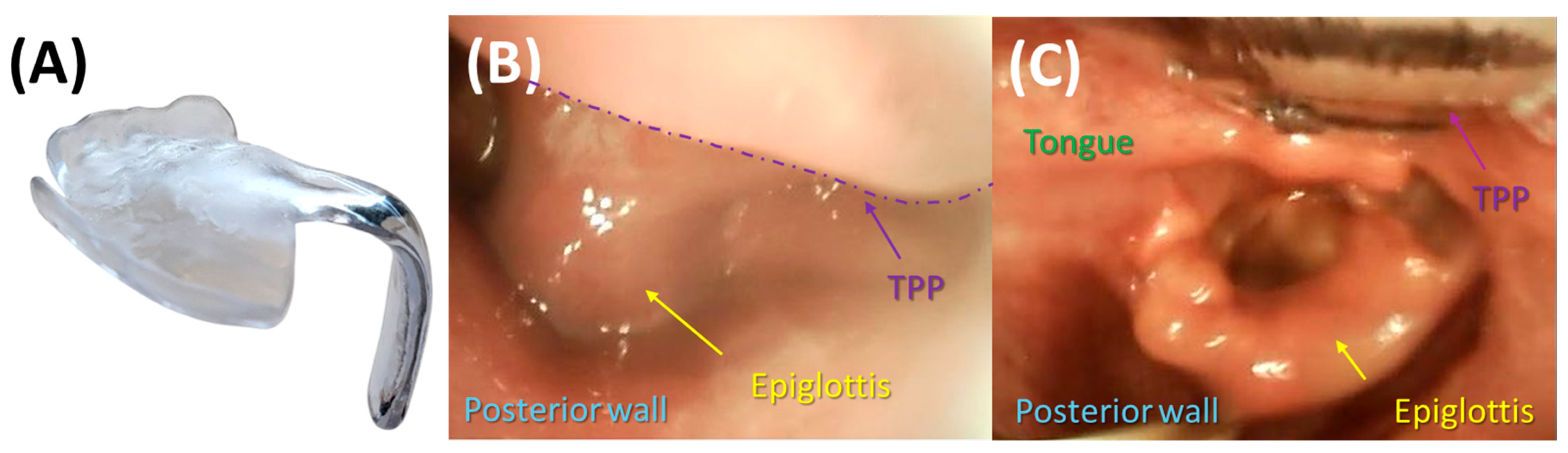 Bioengineering 12 01063 g025